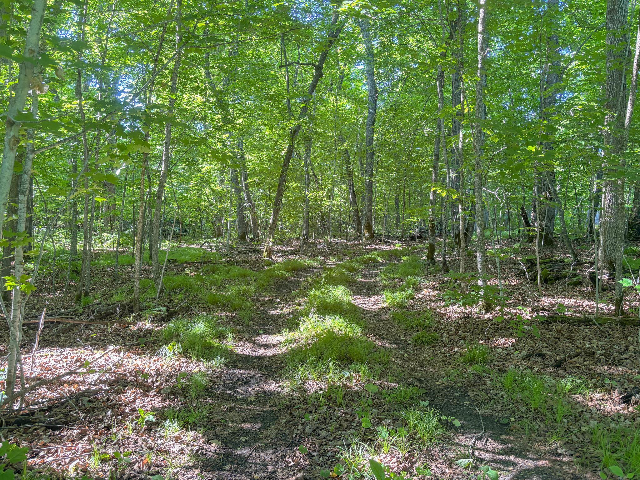 XXXXX 407th Street, Dent MN 56528 - Photo 9 of 38