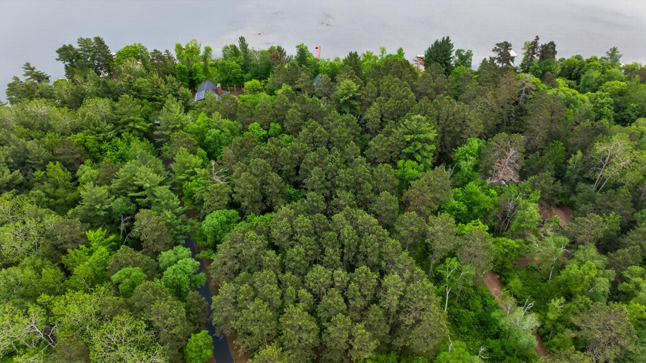 22984 County 7, Park Rapids MN 56470 - Photo 45 of 47