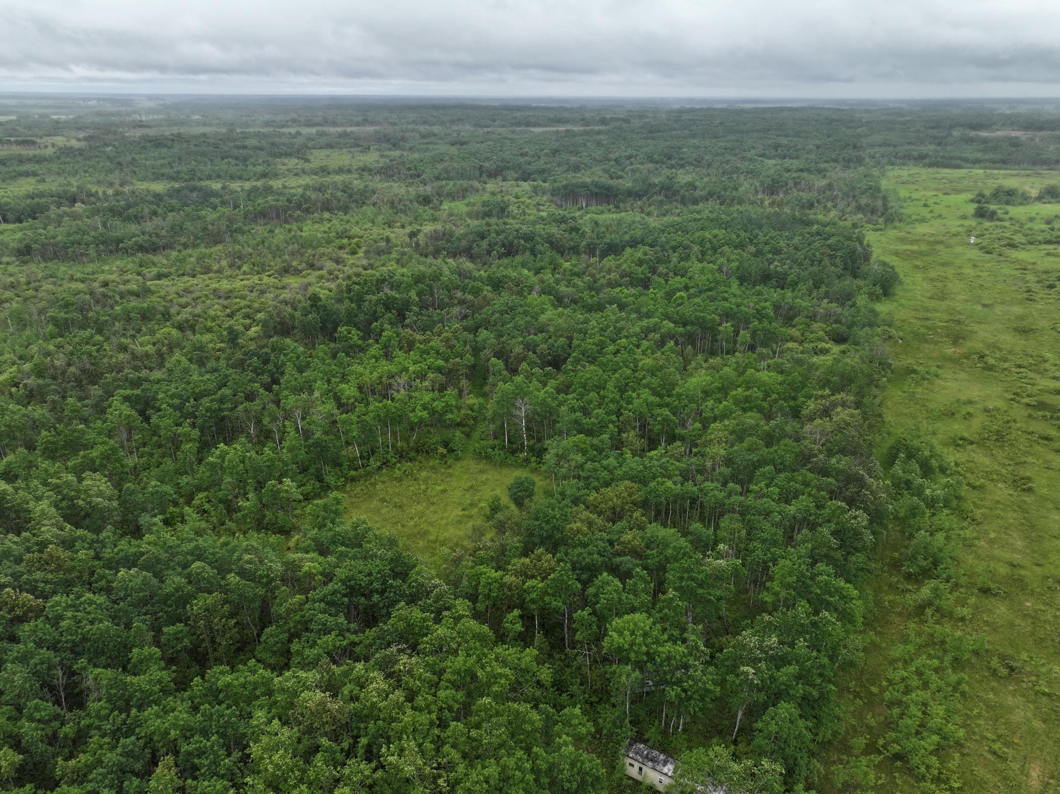 land for sale at TBD 350th ave in Lancaster, MN (photo 2 of 22)