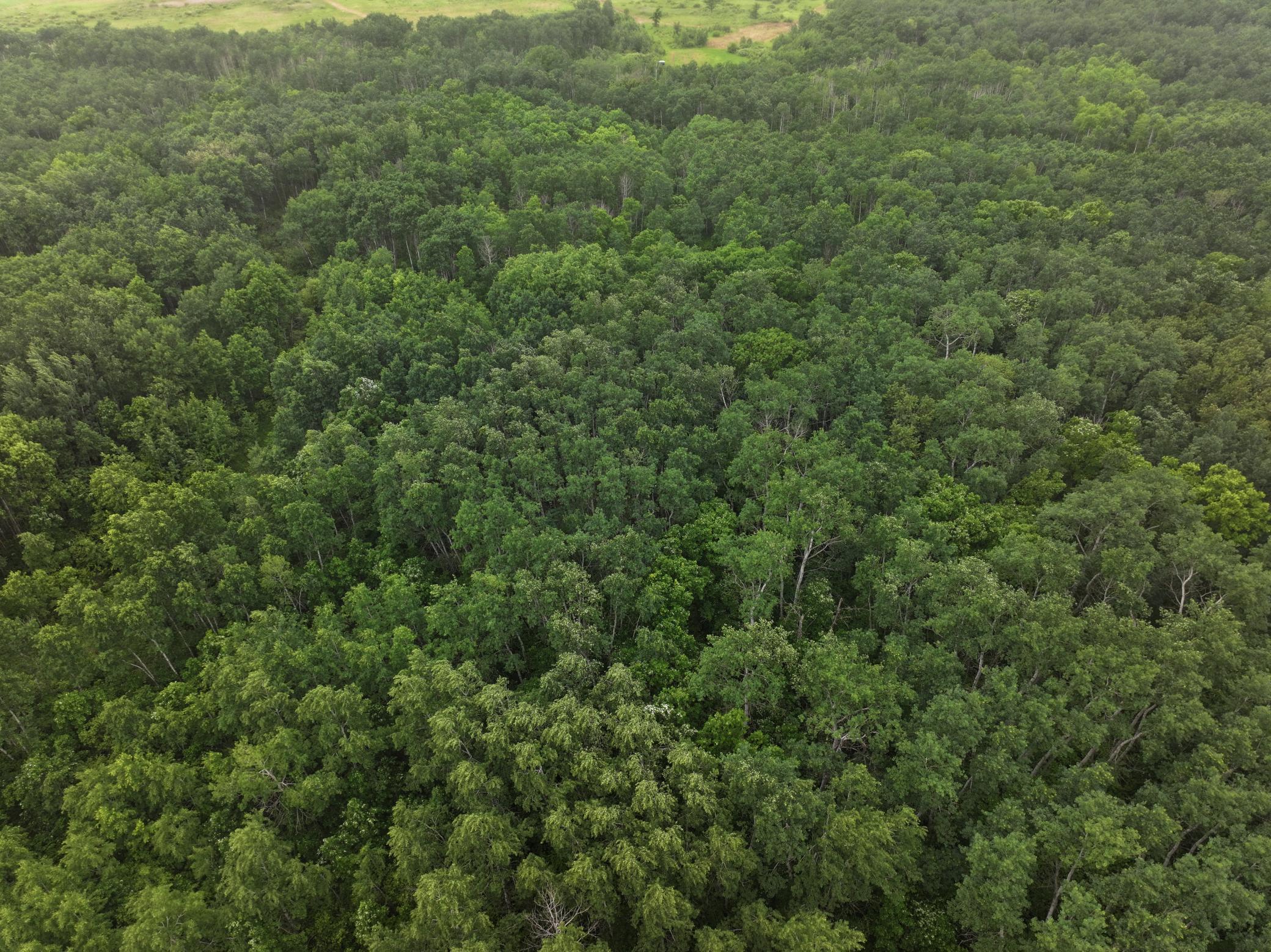 land for sale at TBD 350th ave in Lancaster, MN (photo 11 of 22)