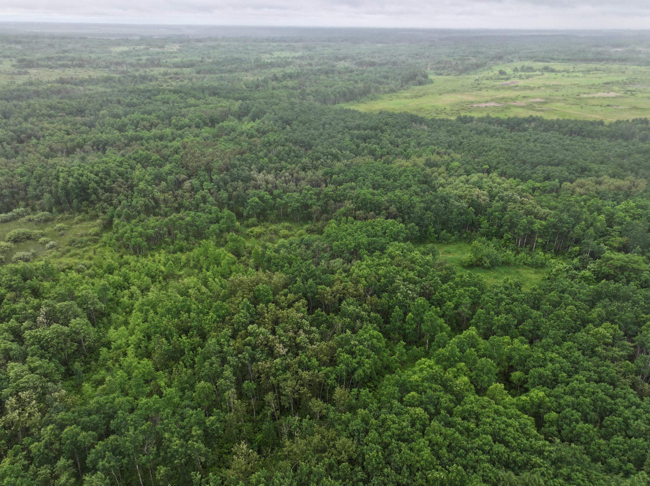 land for sale at TBD 350th ave in Lancaster, MN (photo 12 of 22)