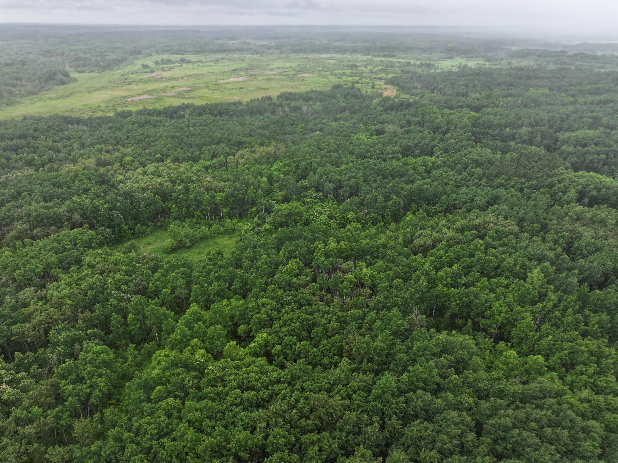 land for sale at TBD 350th ave in Lancaster, MN (photo 13 of 22)