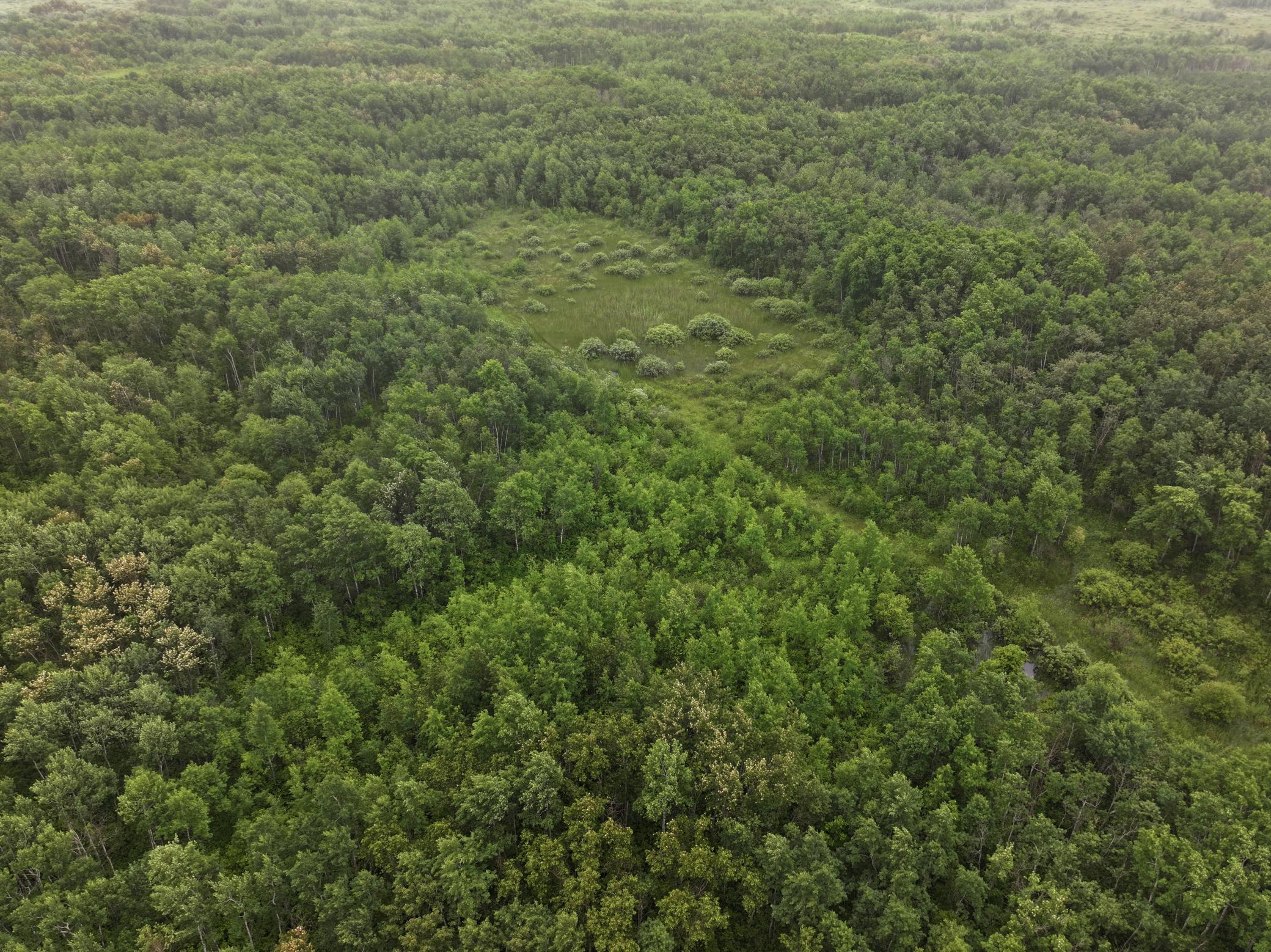 land for sale at TBD 350th ave in Lancaster, MN (photo 14 of 22)