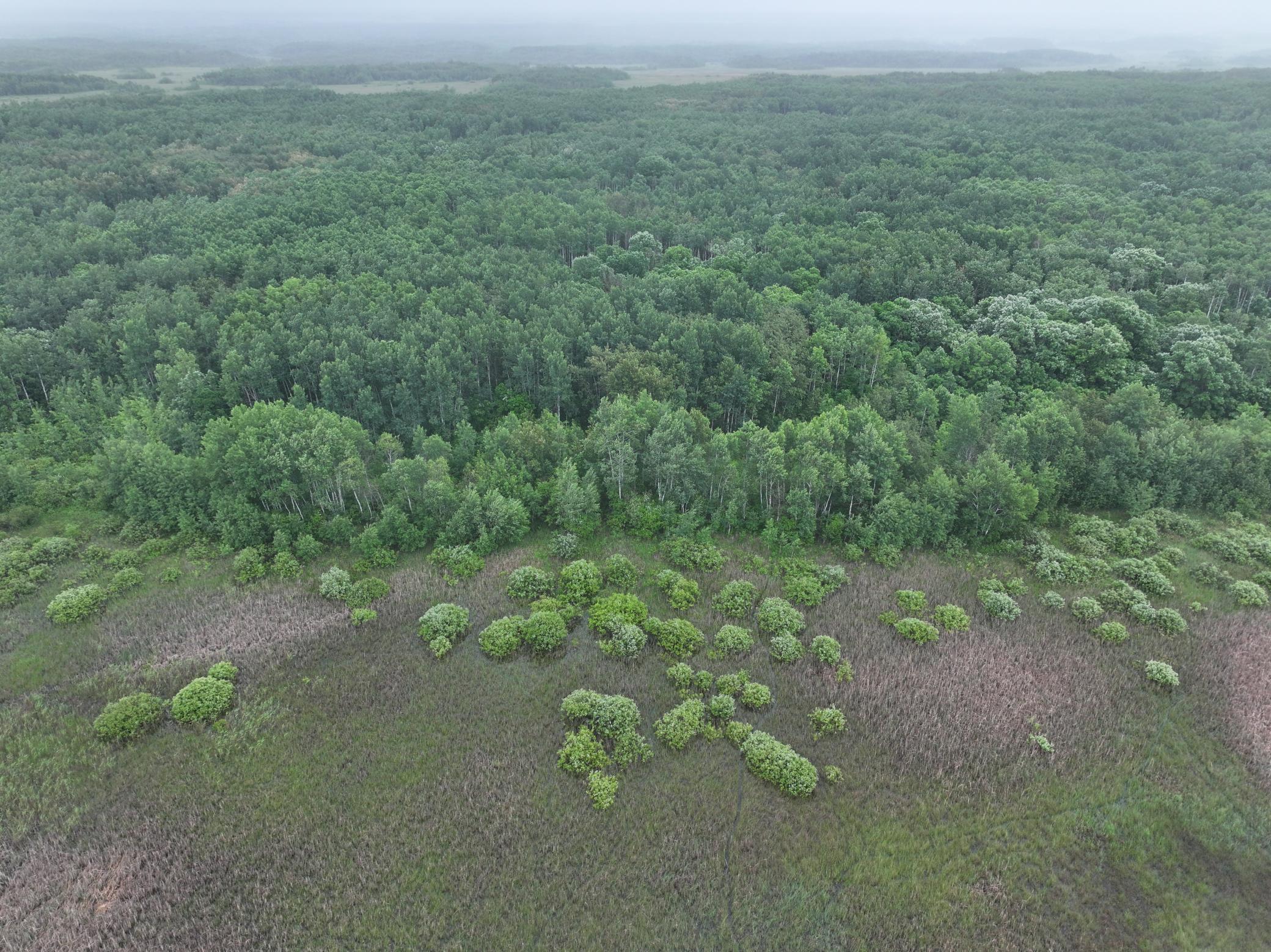 land for sale at TBD 350th ave in Lancaster, MN (photo 15 of 22)