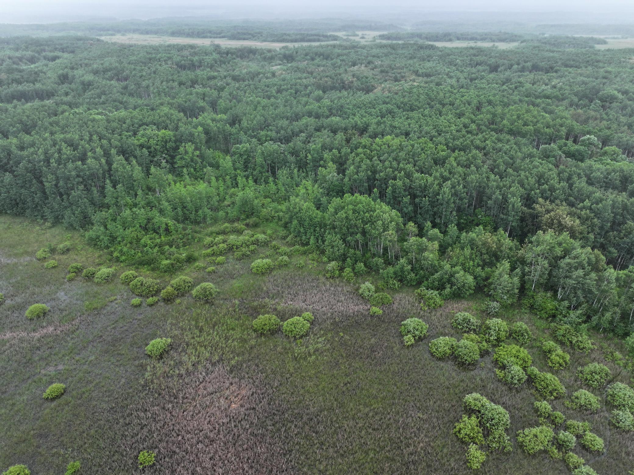 land for sale at TBD 350th ave in Lancaster, MN (photo 16 of 22)