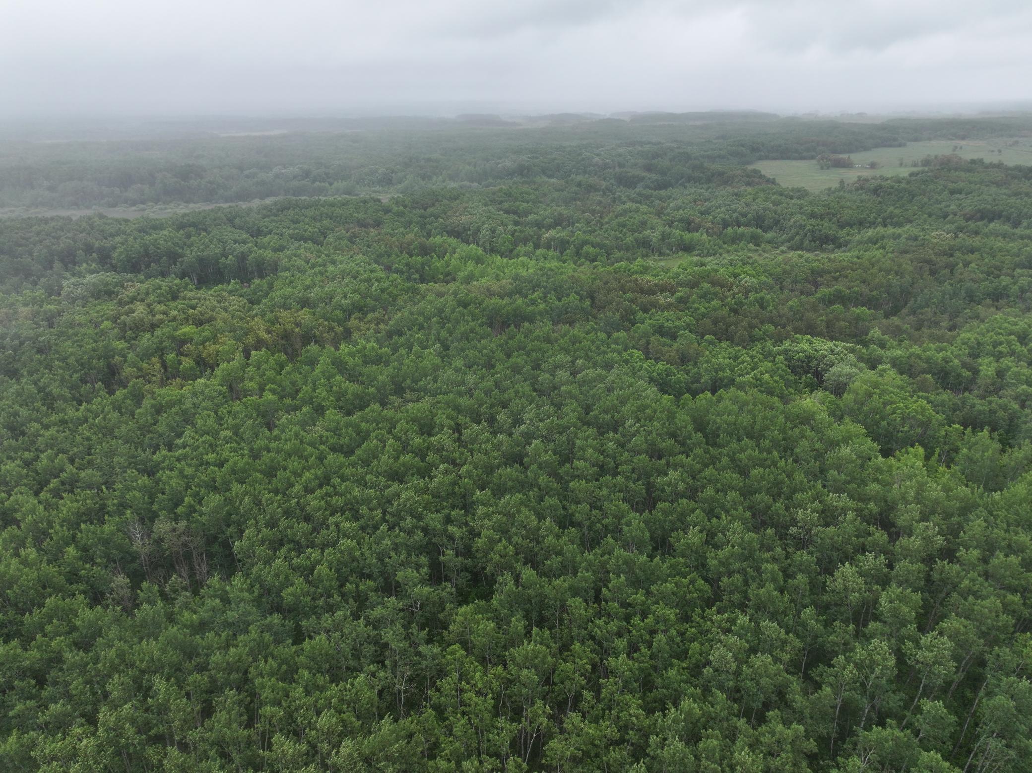land for sale at TBD 350th ave in Lancaster, MN (photo 17 of 22)