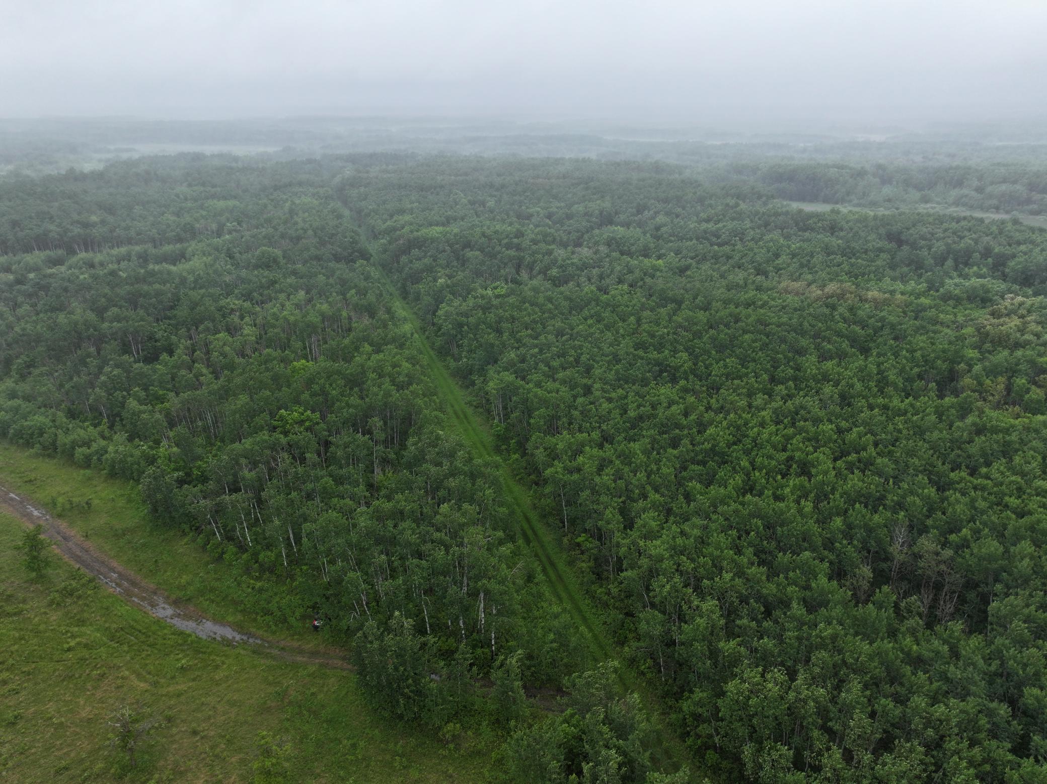 land for sale at TBD 350th ave in Lancaster, MN (photo 18 of 22)