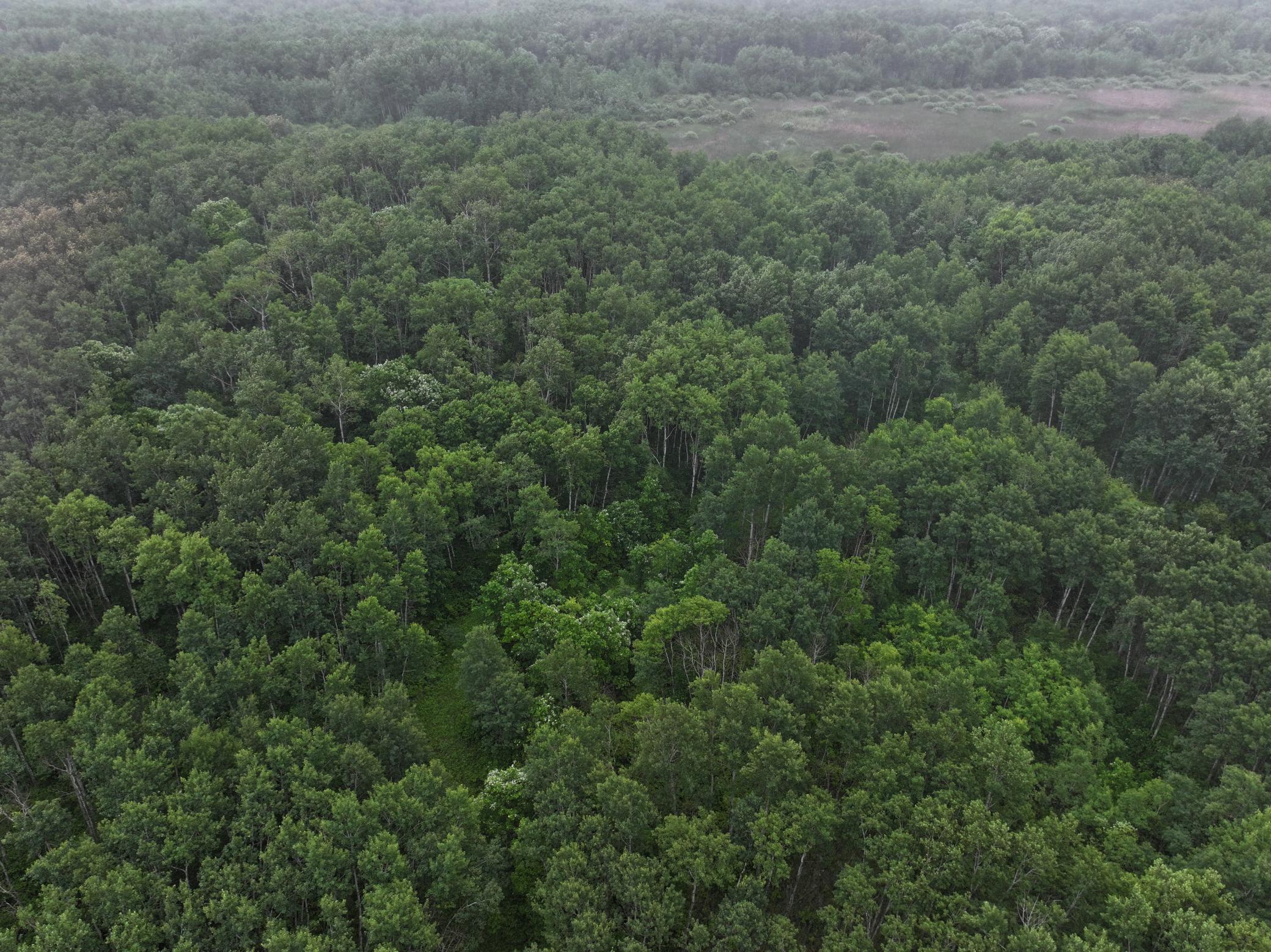 land for sale at TBD 350th ave in Lancaster, MN (photo 19 of 22)