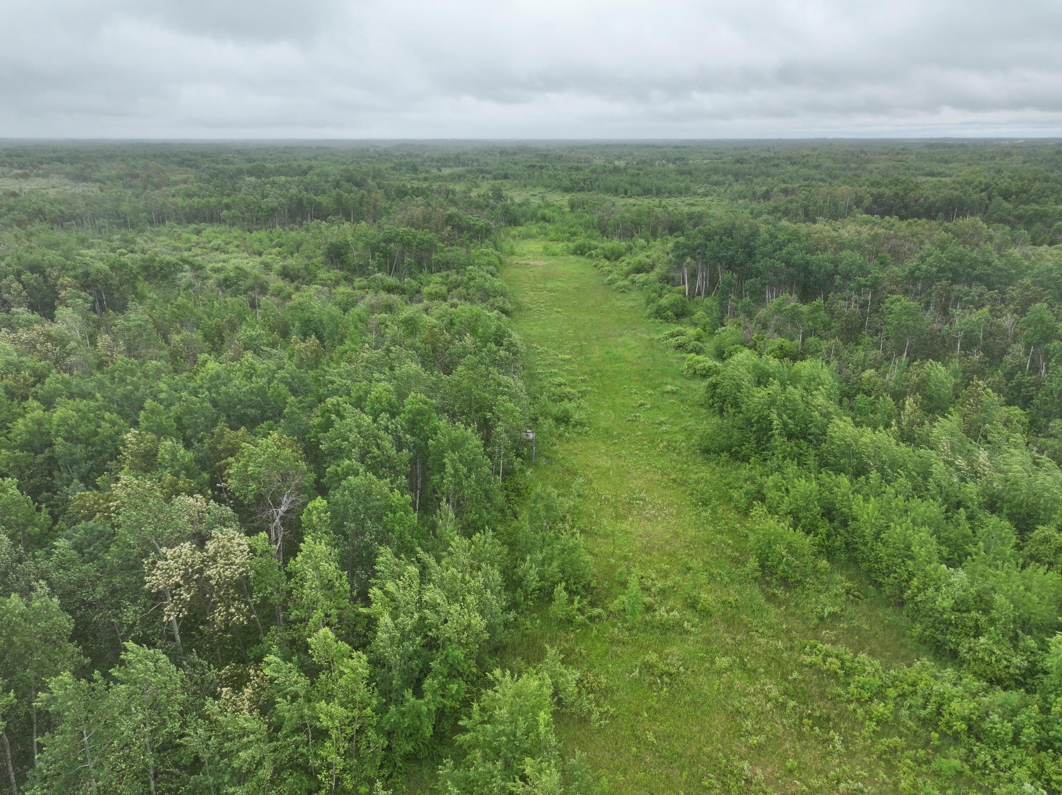 land for sale at TBD 350th ave in Lancaster, MN (photo 3 of 22)