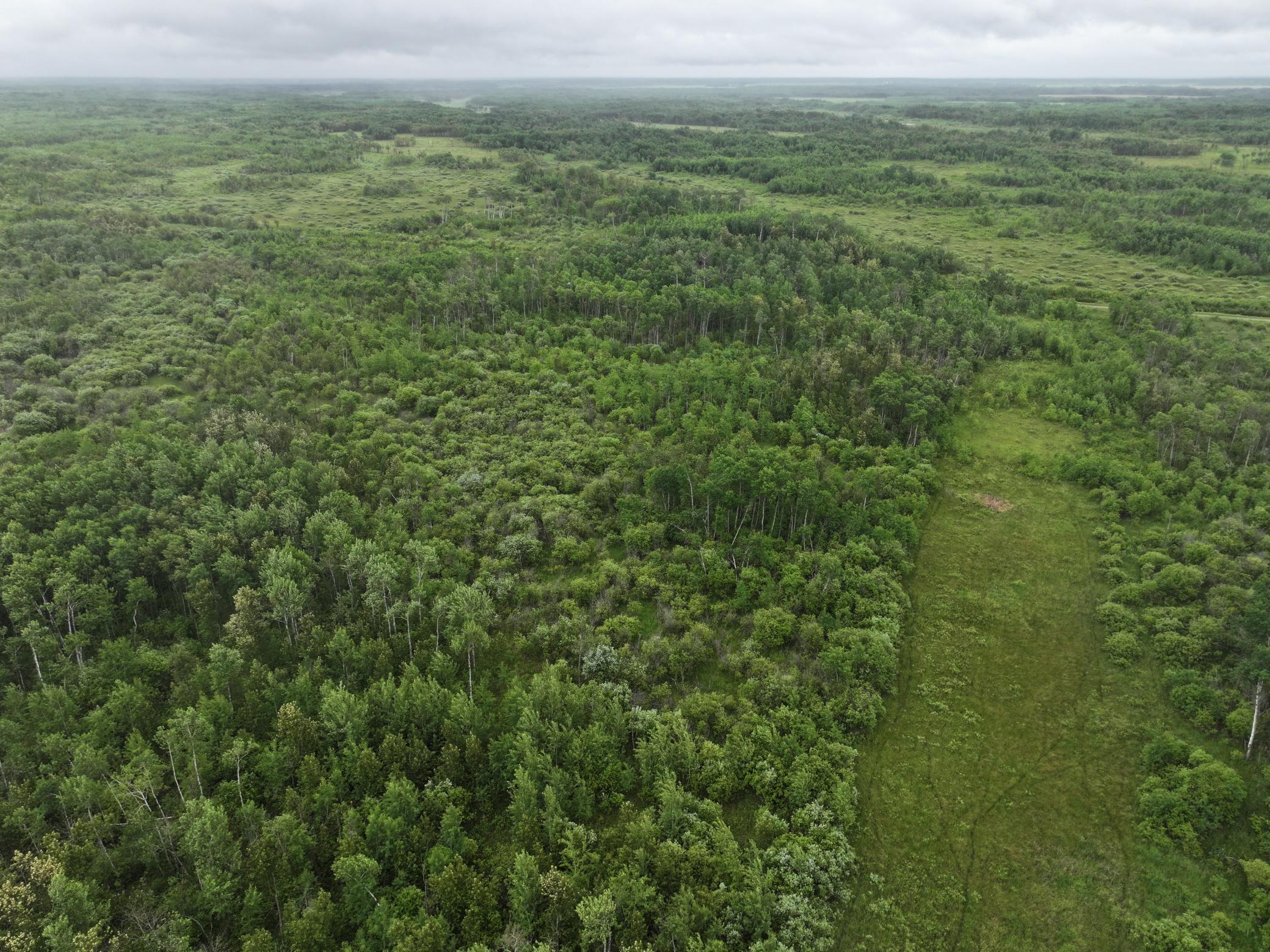 land for sale at TBD 350th ave in Lancaster, MN (photo 4 of 22)