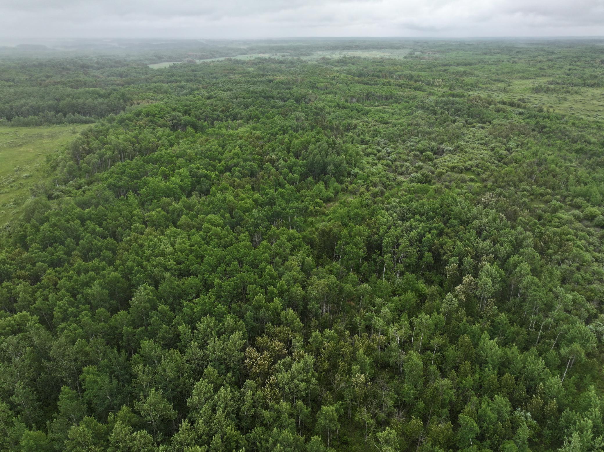 land for sale at TBD 350th ave in Lancaster, MN (photo 5 of 22)