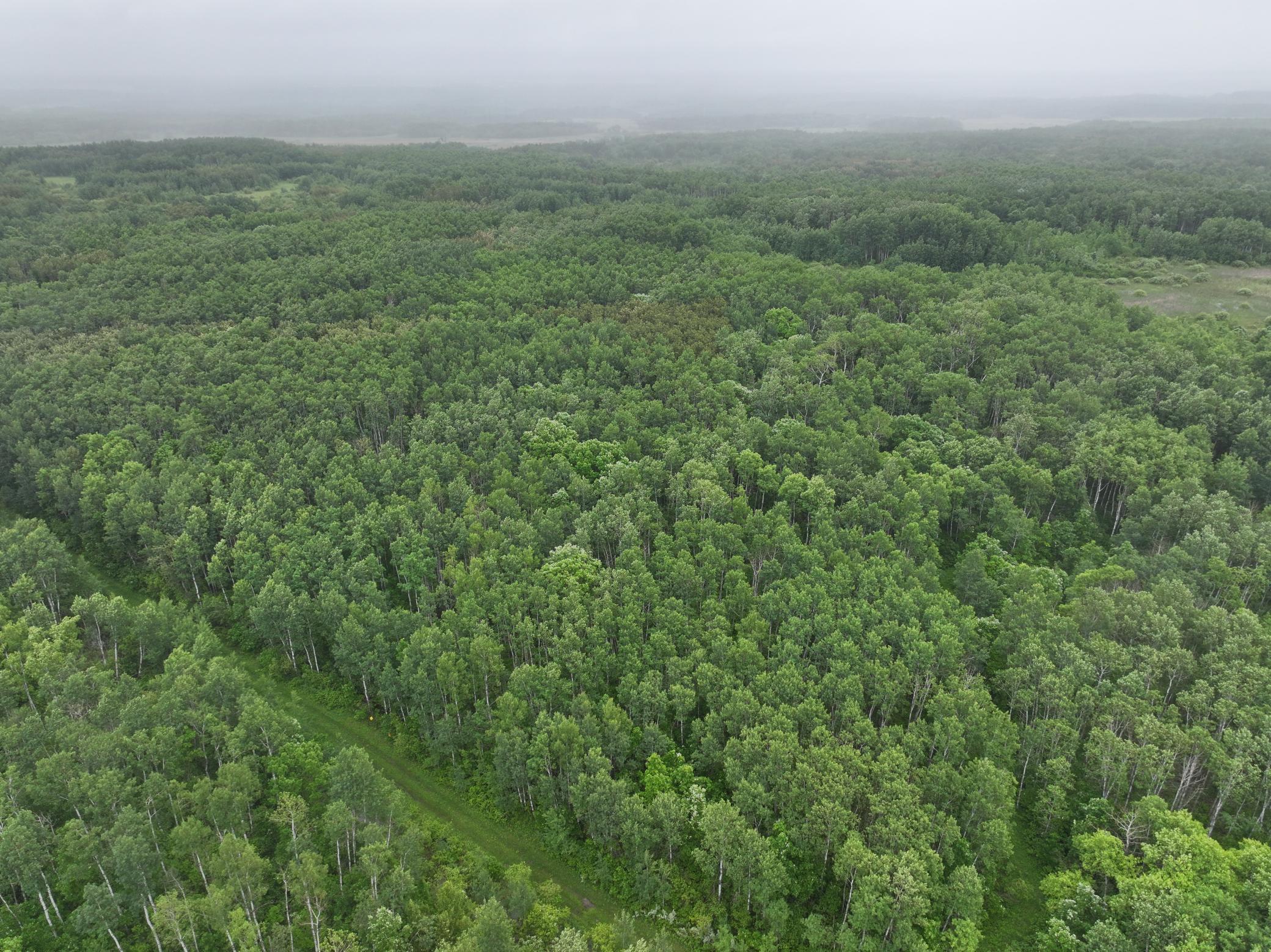 land for sale at TBD 350th ave in Lancaster, MN (photo 6 of 22)