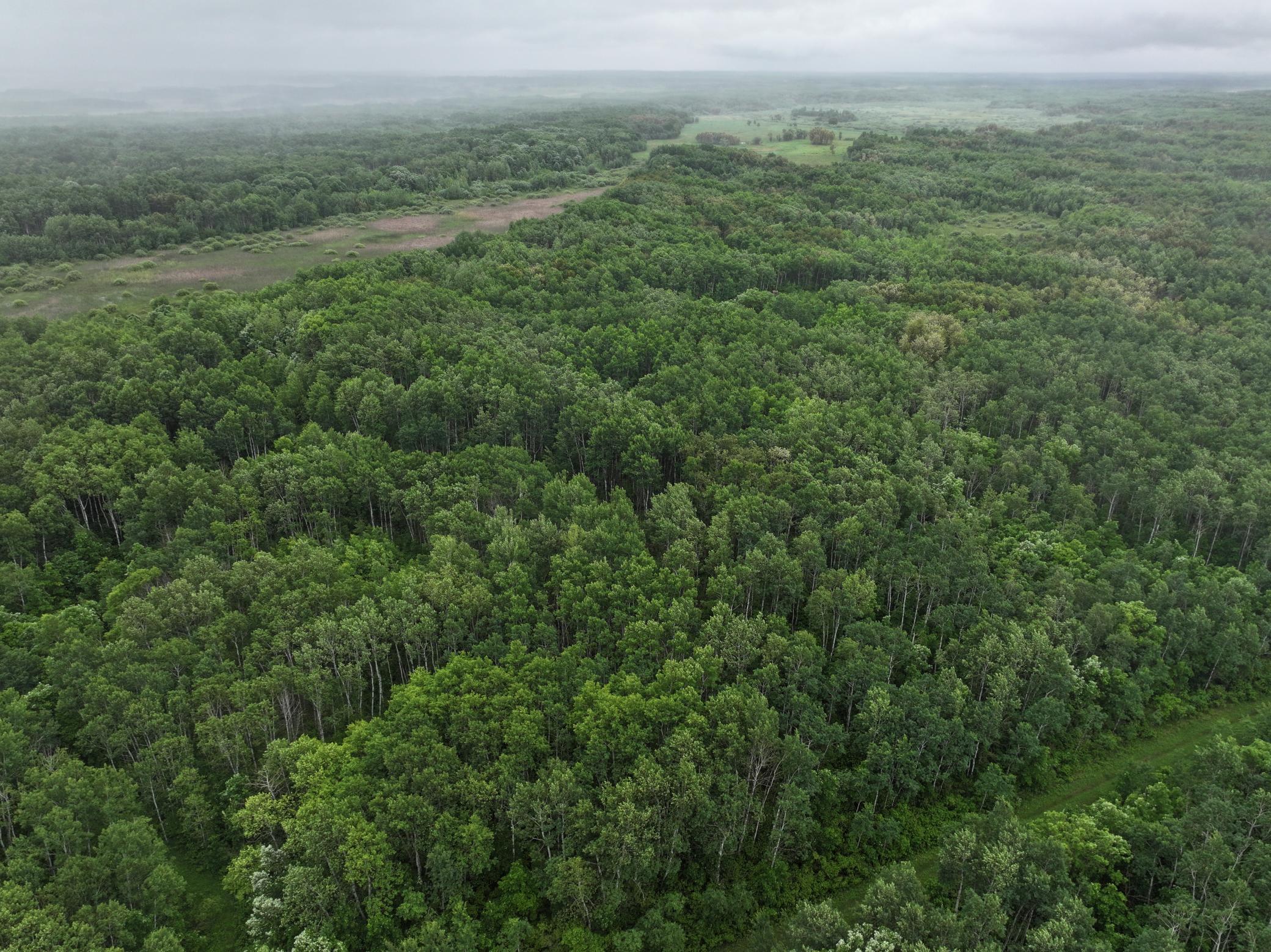 land for sale at TBD 350th ave in Lancaster, MN (photo 7 of 22)