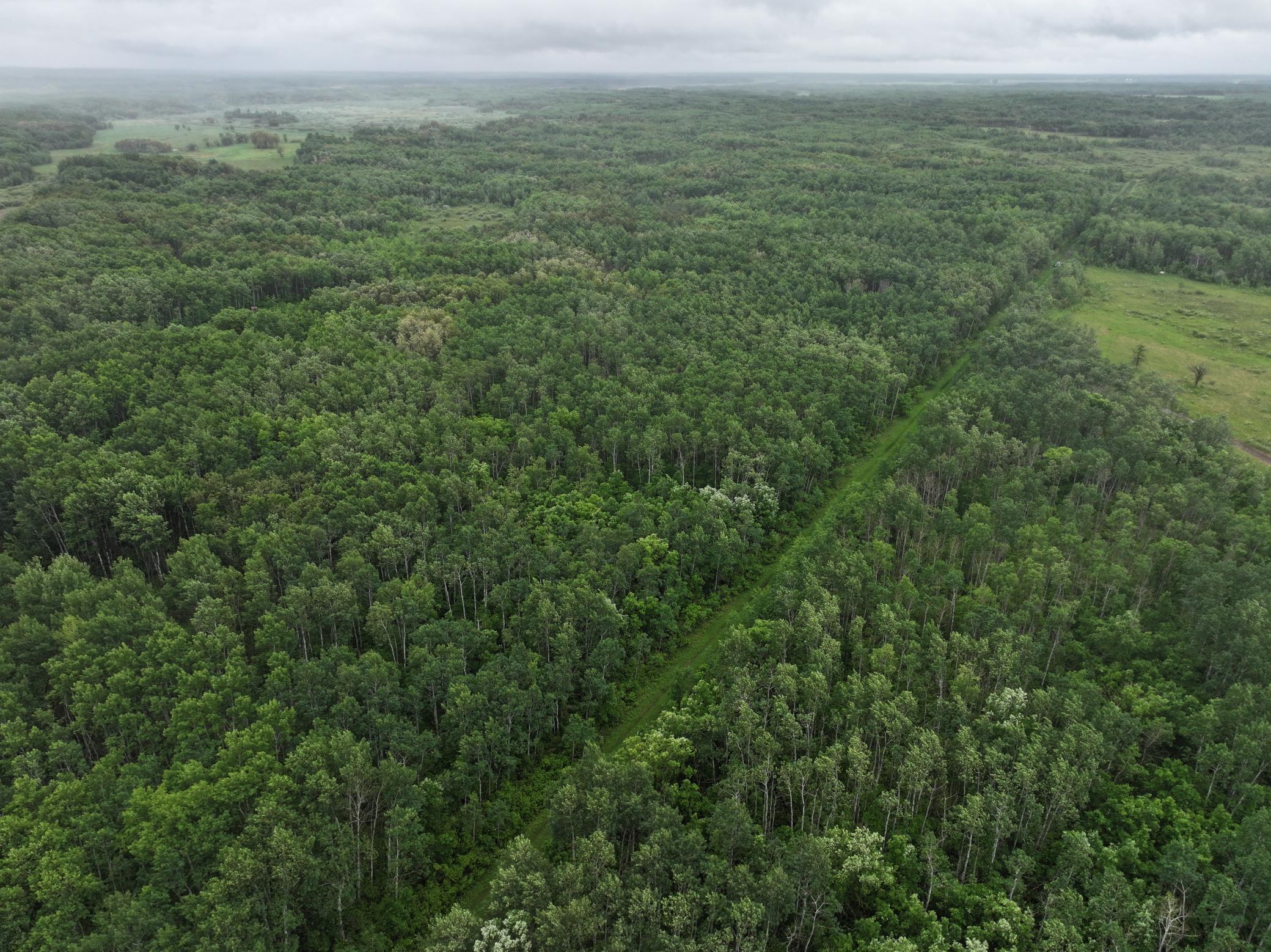 land for sale at TBD 350th ave in Lancaster, MN (photo 8 of 22)