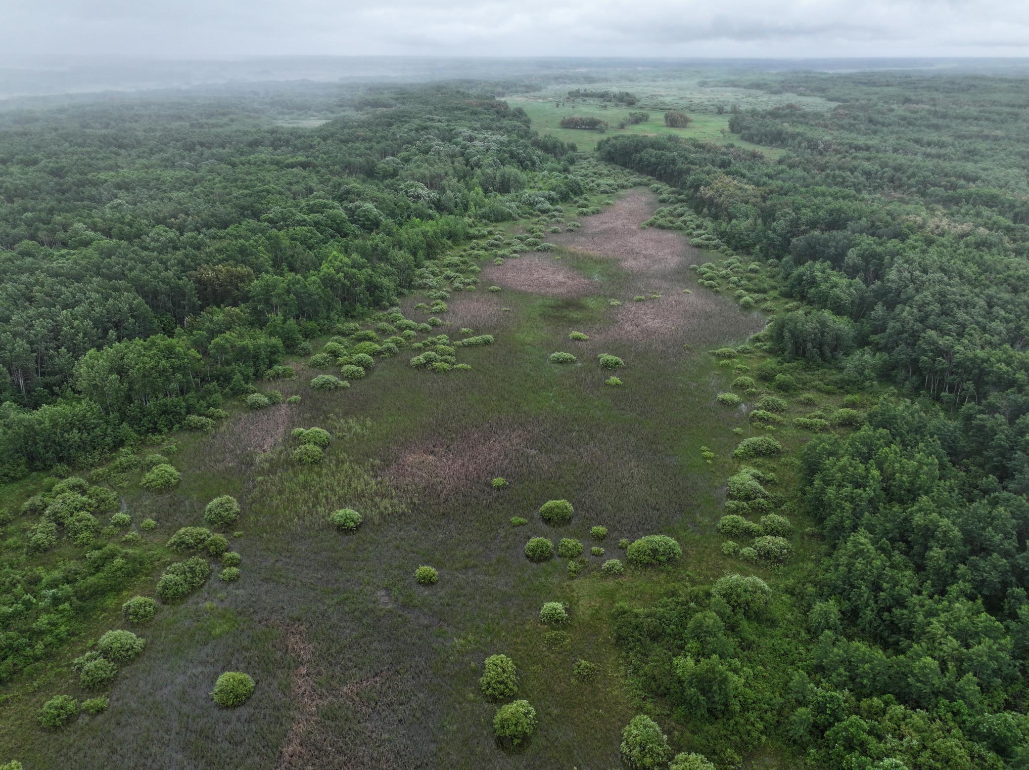 land for sale at TBD 350th ave in Lancaster, MN (photo 9 of 22)