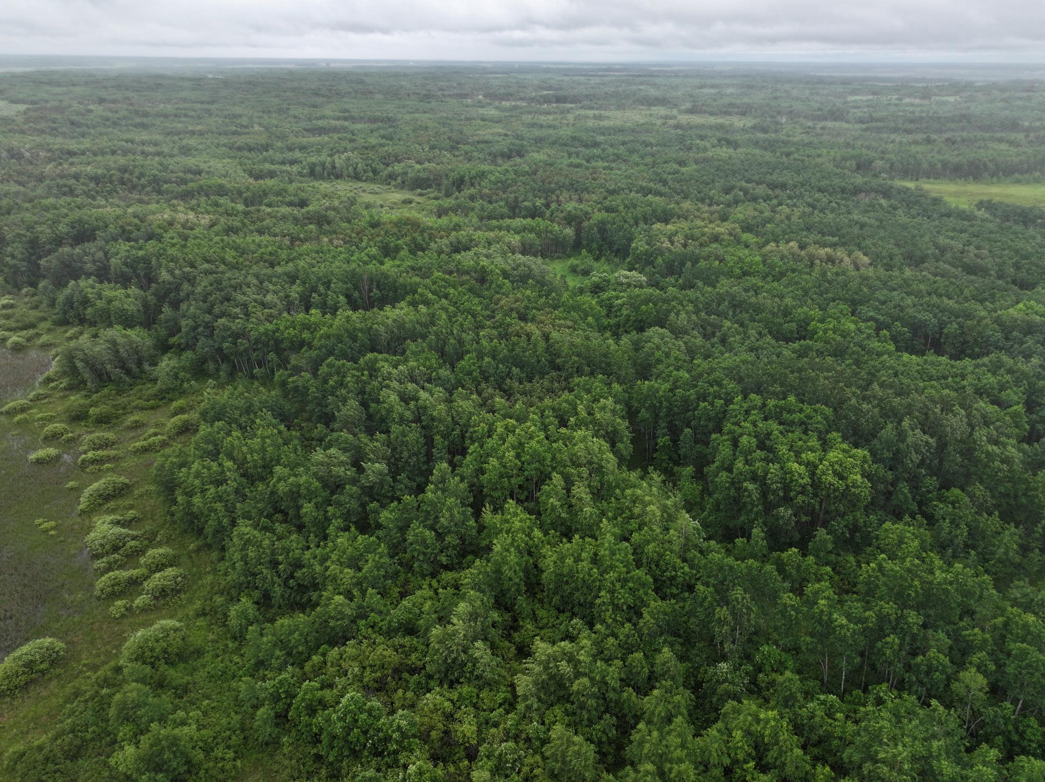 land for sale at TBD 350th ave in Lancaster, MN (photo 10 of 22)