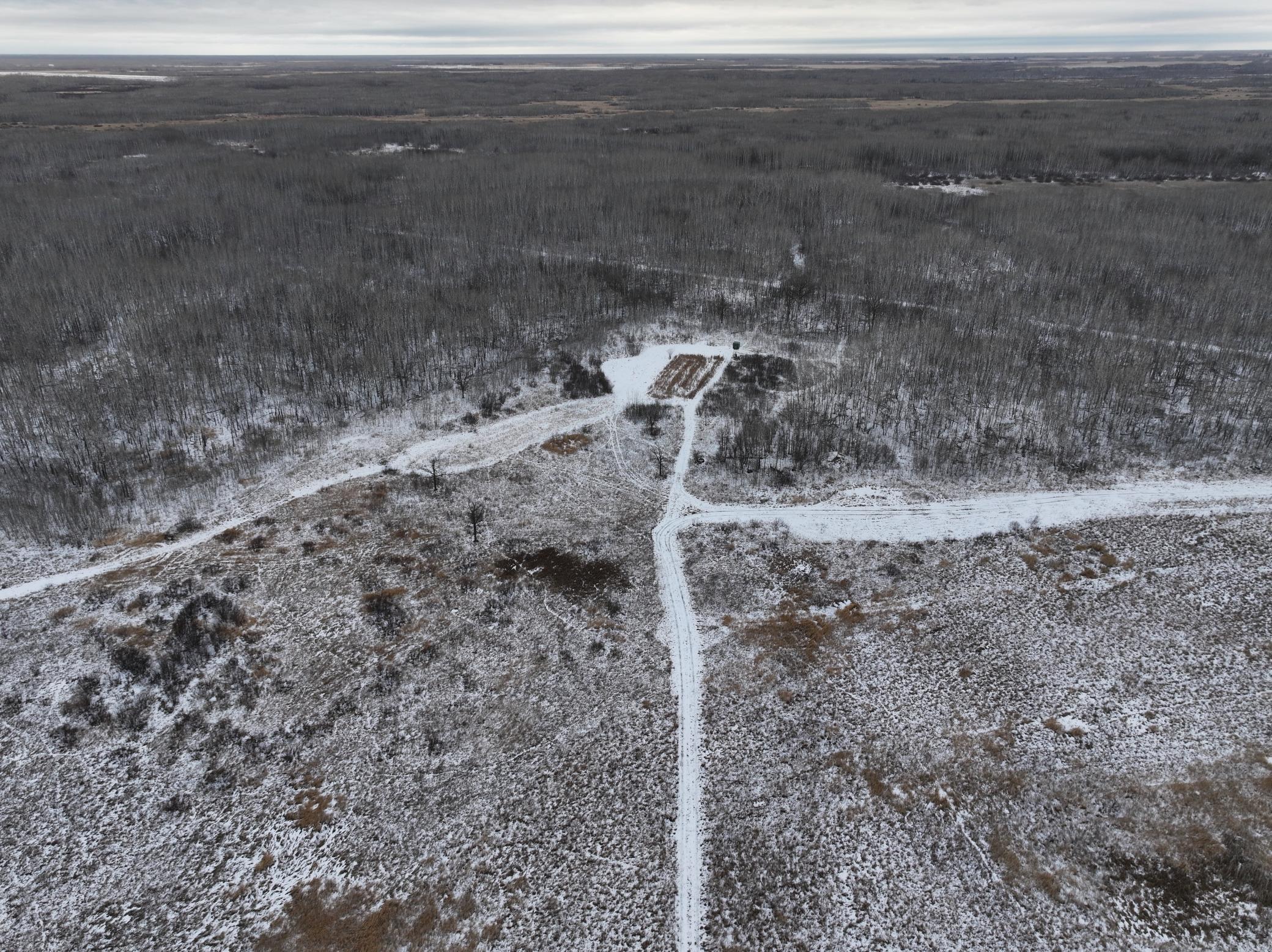 land for sale at tbd 350th ave sw in Lancaster, MN (photo 15 of 31)