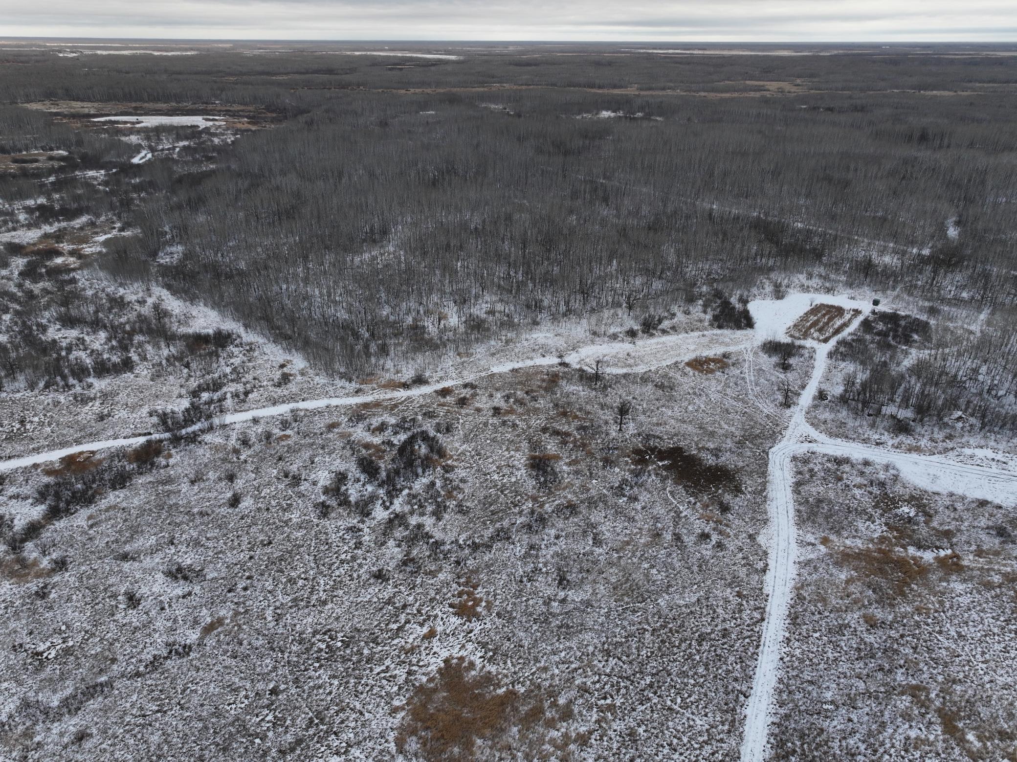 land for sale at tbd 350th ave sw in Lancaster, MN (photo 16 of 31)