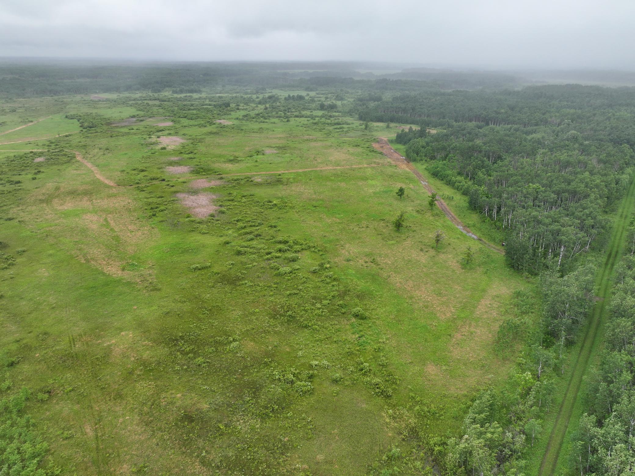 land for sale at tbd 350th ave sw in Lancaster, MN (photo 17 of 31)