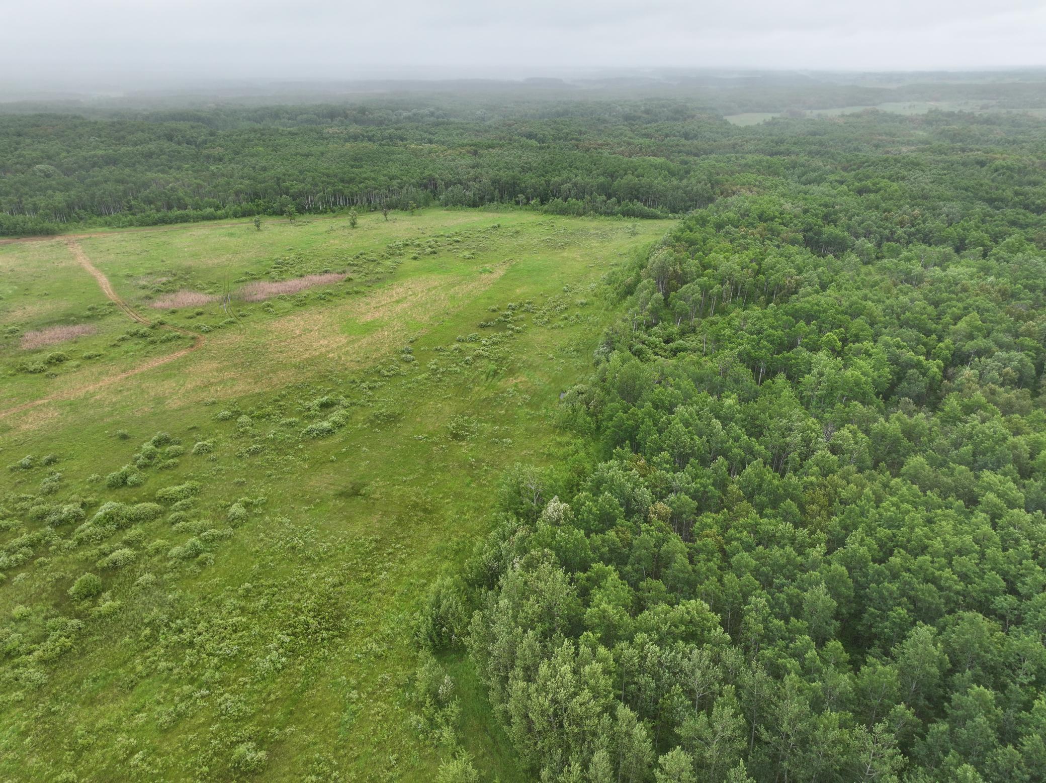 land for sale at tbd 350th ave sw in Lancaster, MN (photo 20 of 31)
