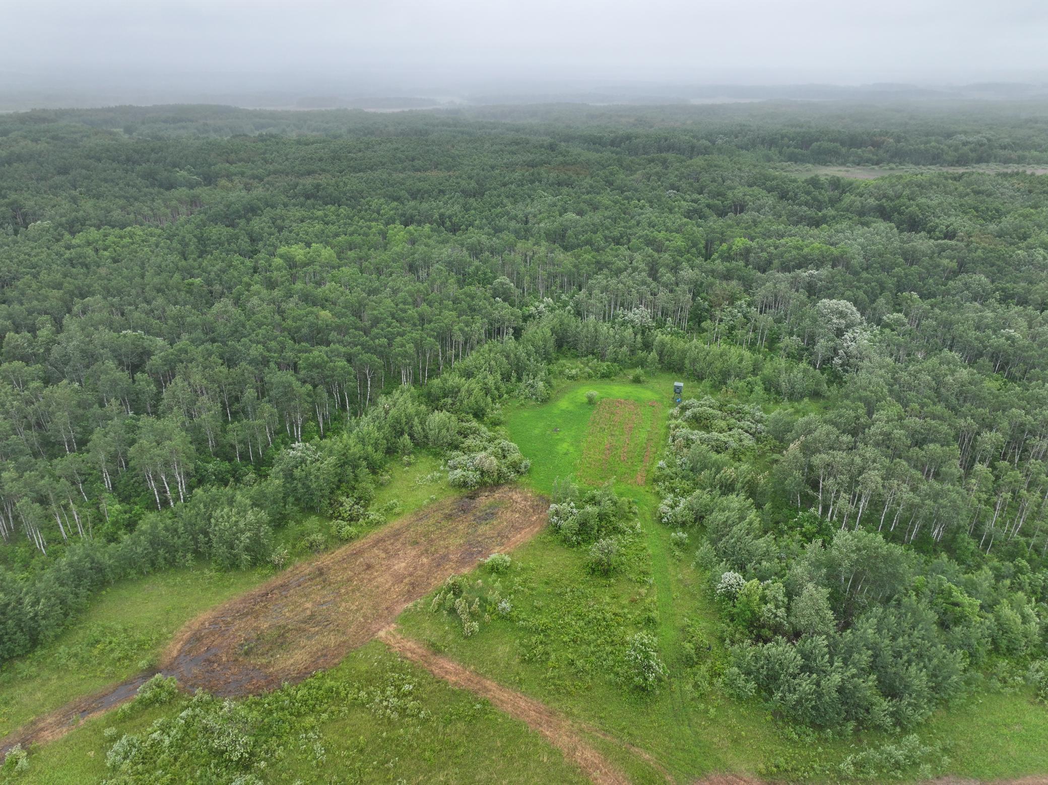 land for sale at tbd 350th ave sw in Lancaster, MN (photo 22 of 31)