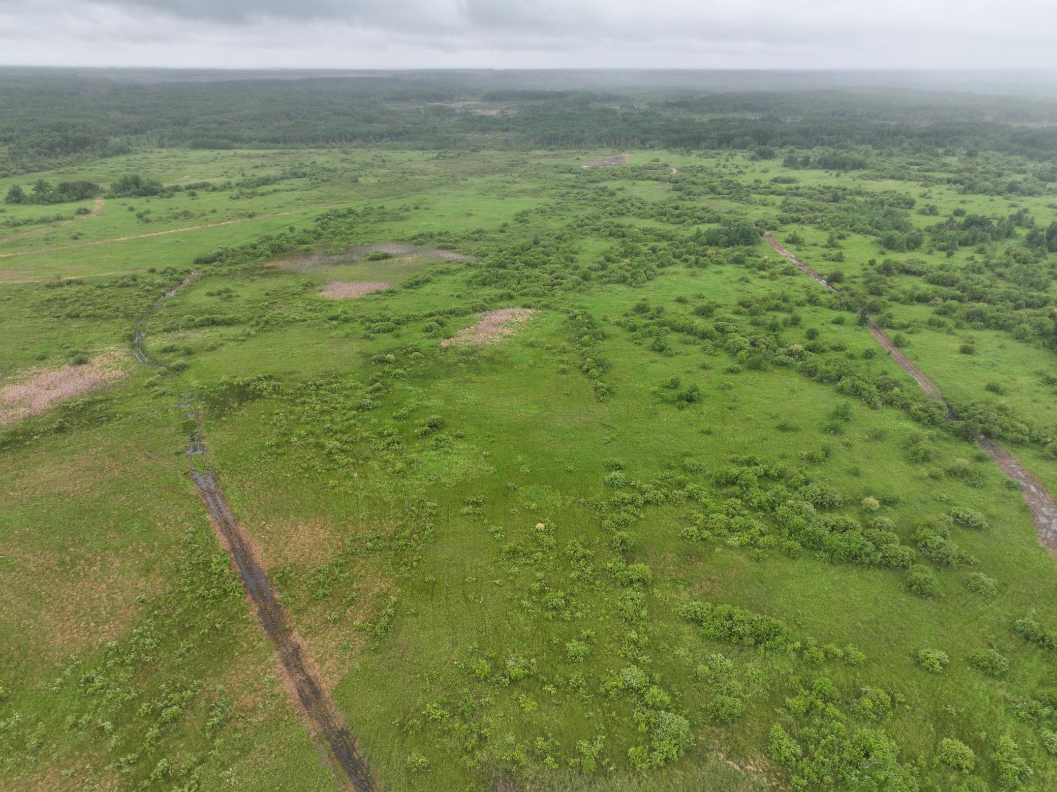 land for sale at tbd 350th ave sw in Lancaster, MN (photo 23 of 31)