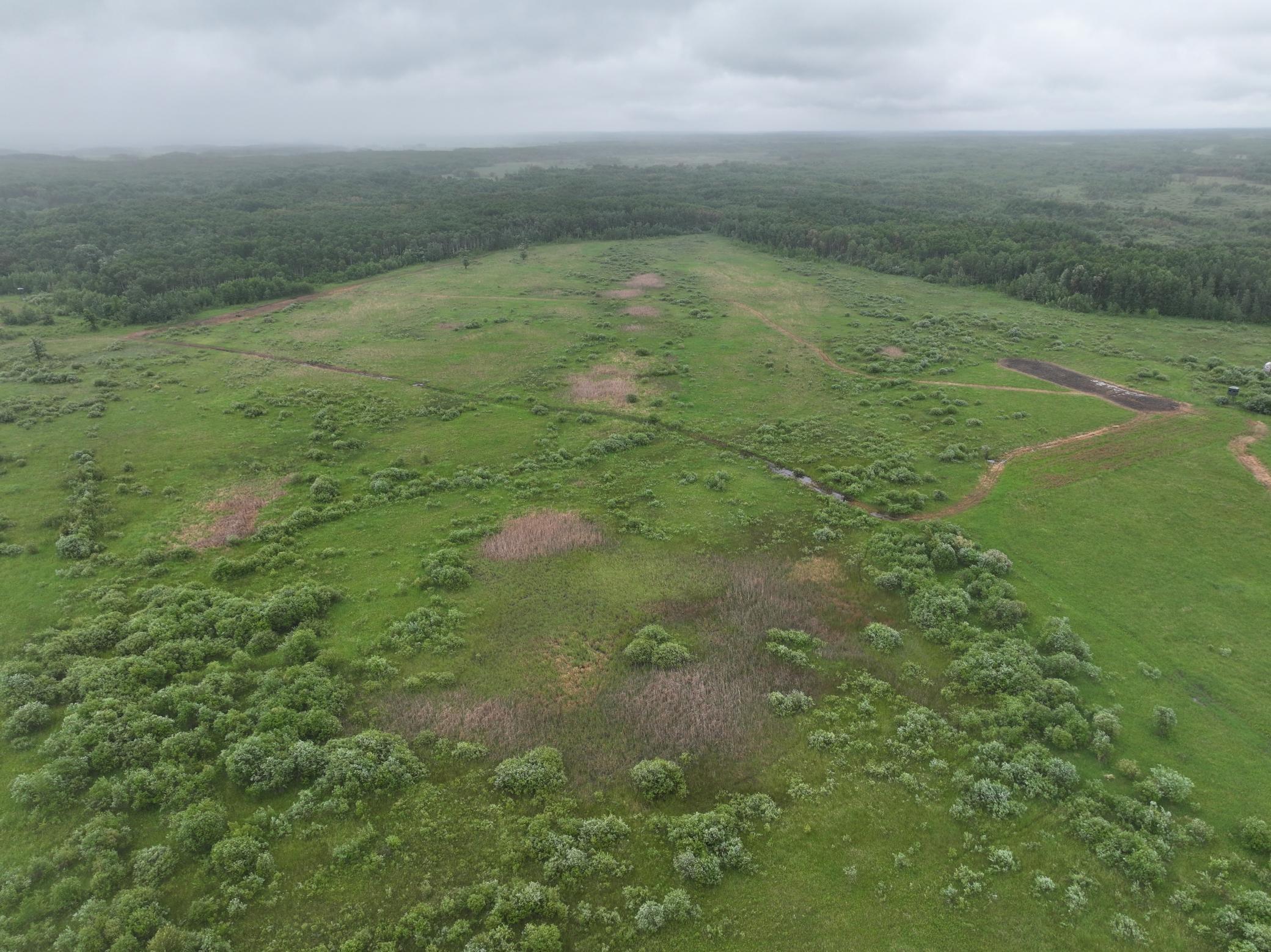 land for sale at tbd 350th ave sw in Lancaster, MN (photo 26 of 31)