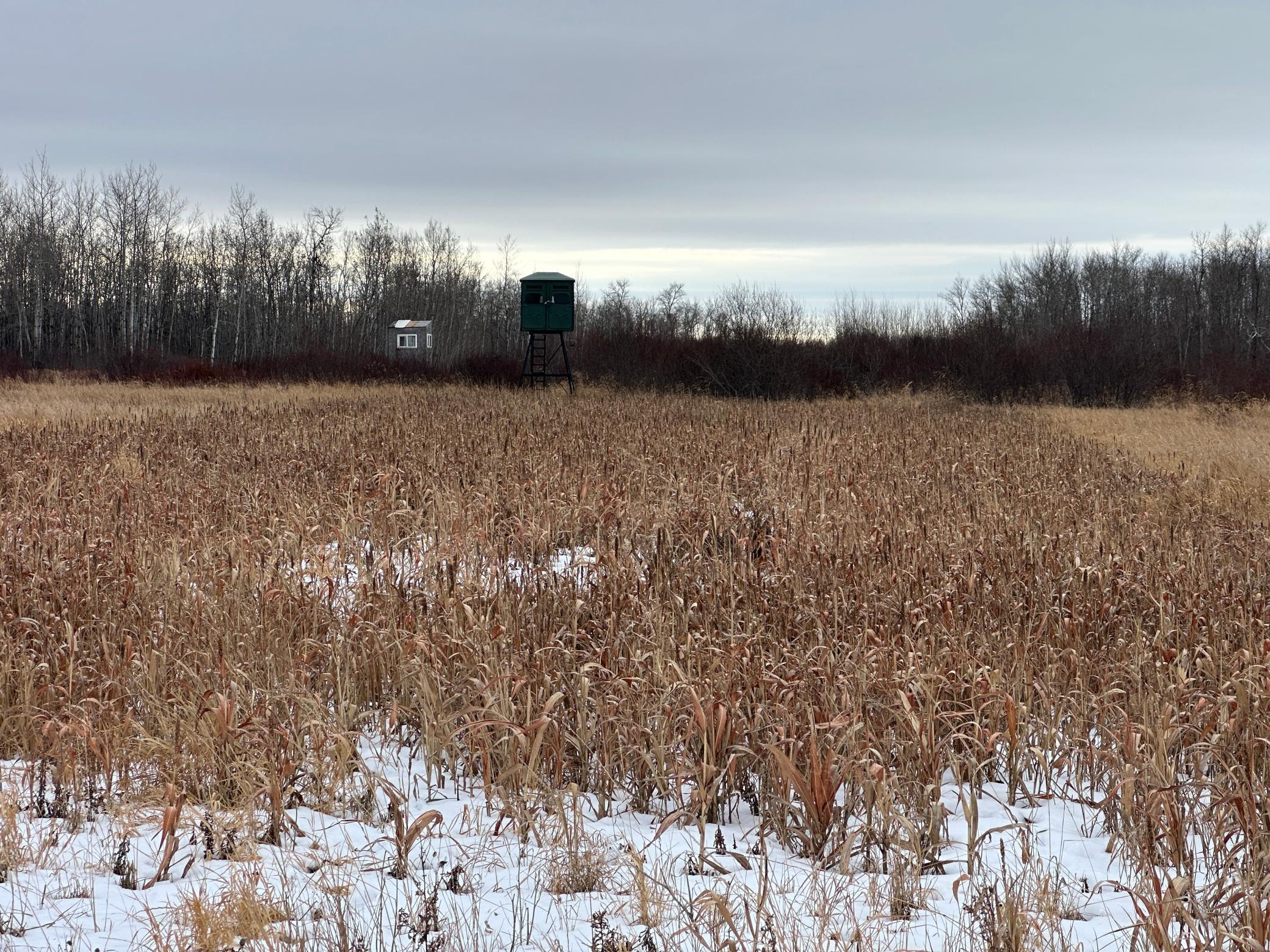 land for sale at tbd 350th ave sw in Lancaster, MN (photo 28 of 31)