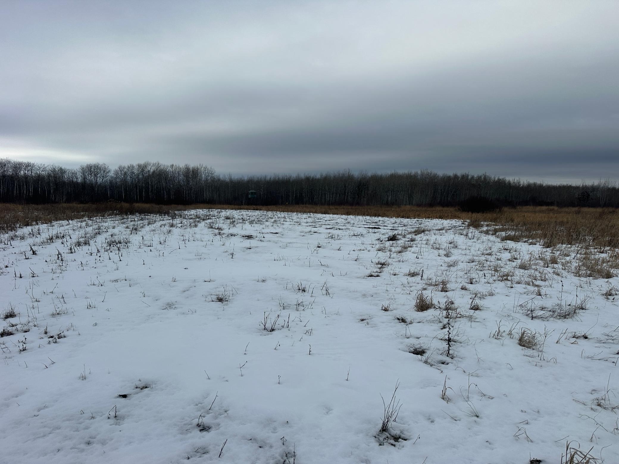 land for sale at tbd 350th ave sw in Lancaster, MN (photo 29 of 31)