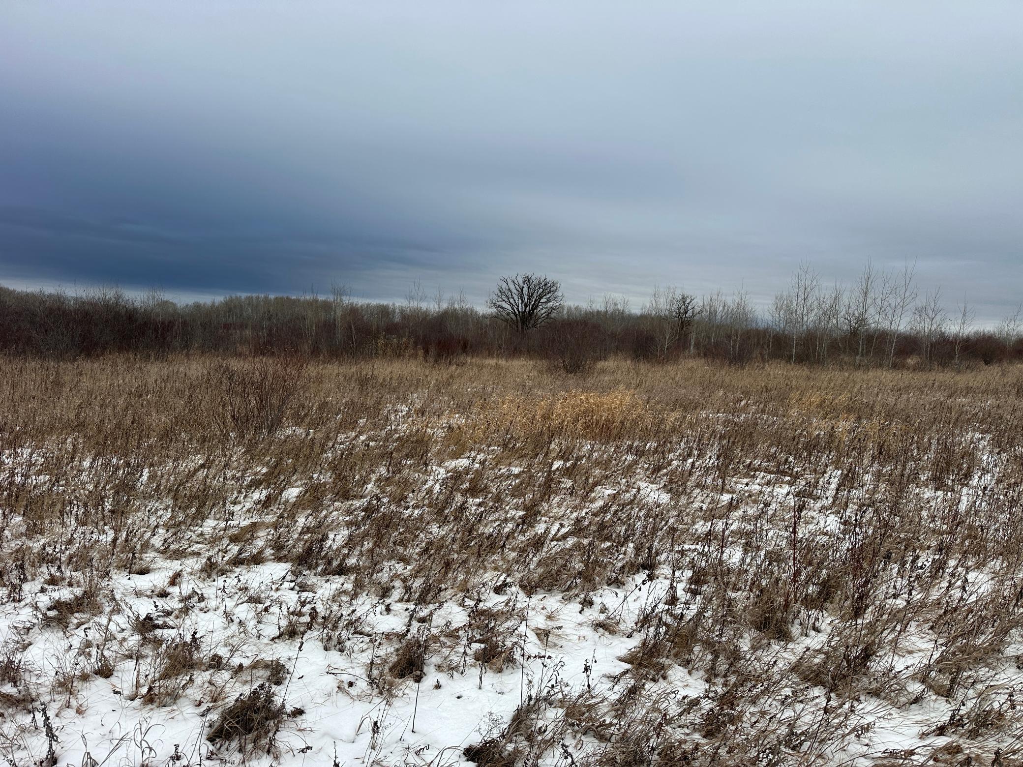 land for sale at tbd 350th ave sw in Lancaster, MN (photo 31 of 31)