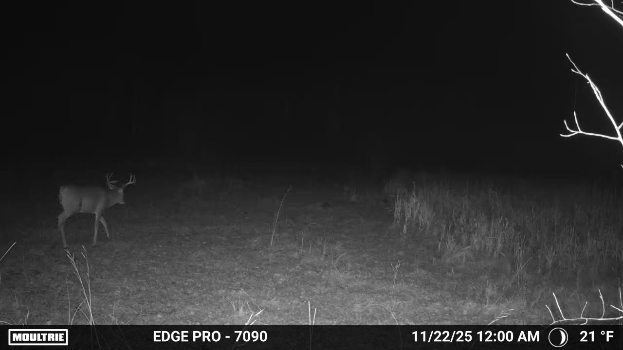 land for sale at tbd 350th ave sw in Lancaster, MN (photo 8 of 31)