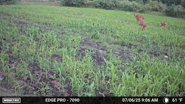 land for sale at tbd 350th ave sw in Lancaster, MN (photo 9 of 31)