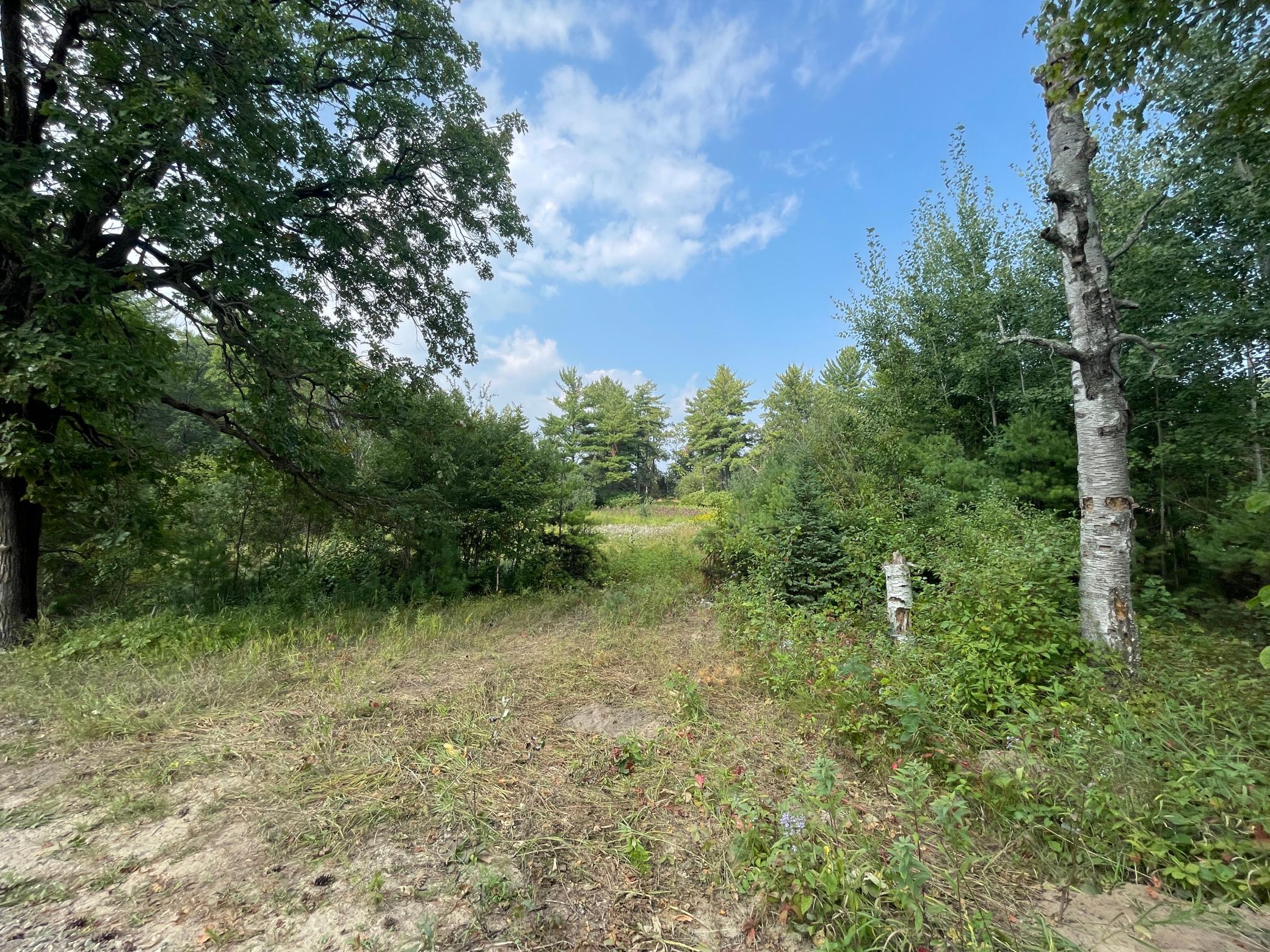 TBD Camp Fish Road NW, Akeley MN 56484 - Photo 3 of 10