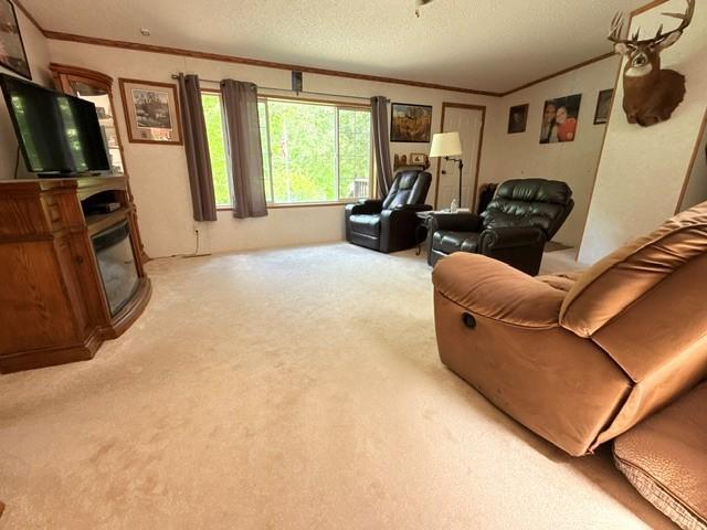 24353 Hines Road NE, Hines MN 56647 - Photo 11 of 22