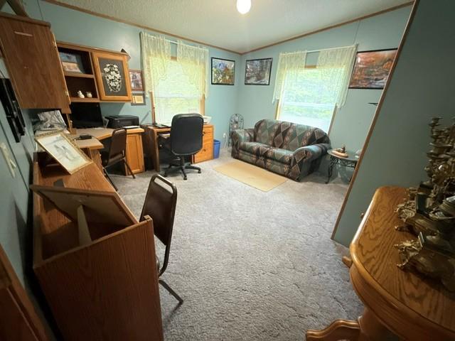24353 Hines Road NE, Hines MN 56647 - Photo 16 of 22