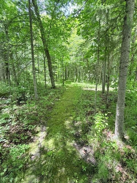 24353 Hines Road NE, Hines MN 56647 - Photo 4 of 22