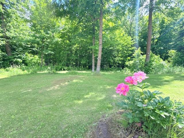 24353 Hines Road NE, Hines MN 56647 - Photo 7 of 22