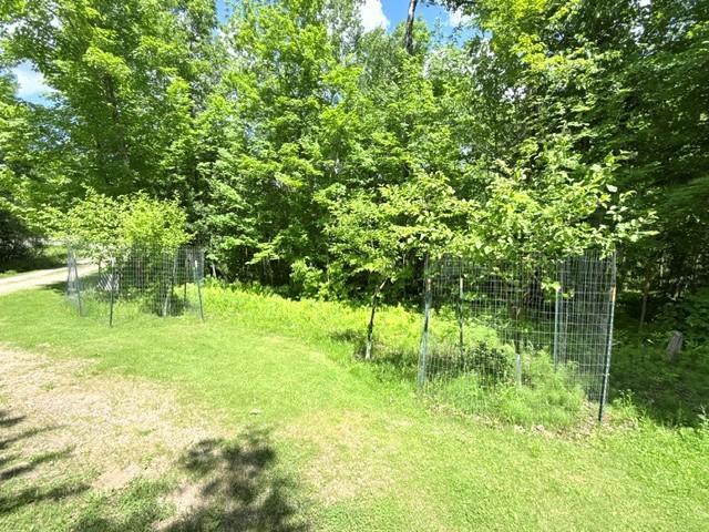 24353 Hines Road NE, Hines MN 56647 - Photo 8 of 22