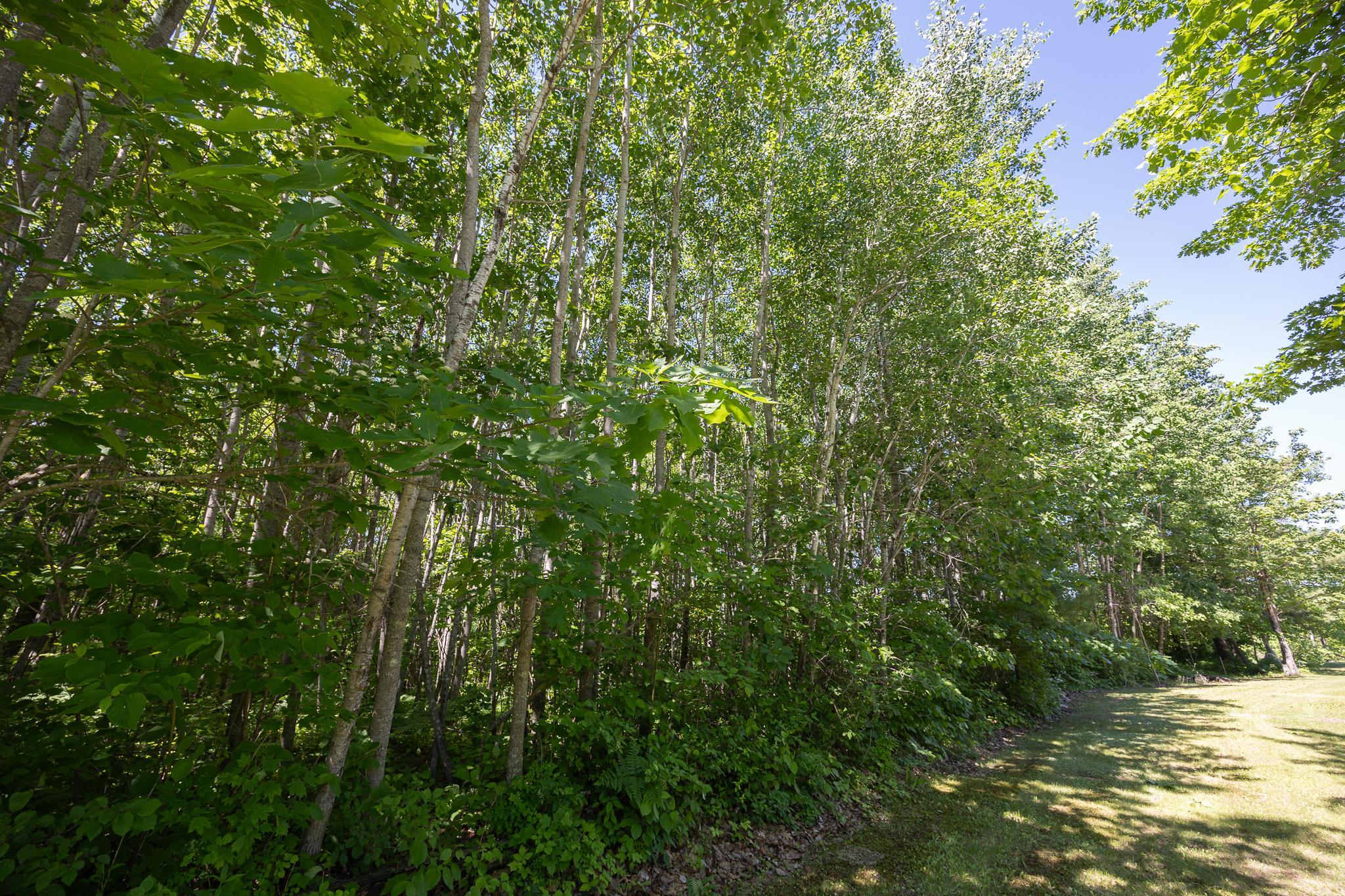 TBD. Kestrel Trail NW, Hackensack MN 56452 - Photo 13 of 14