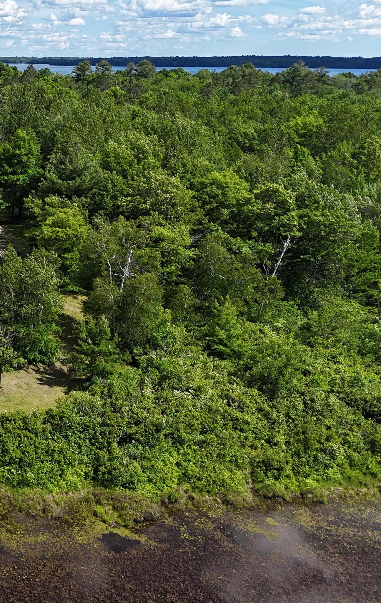 TBD. Kestrel Trail NW, Hackensack MN 56452 - Photo 3 of 14
