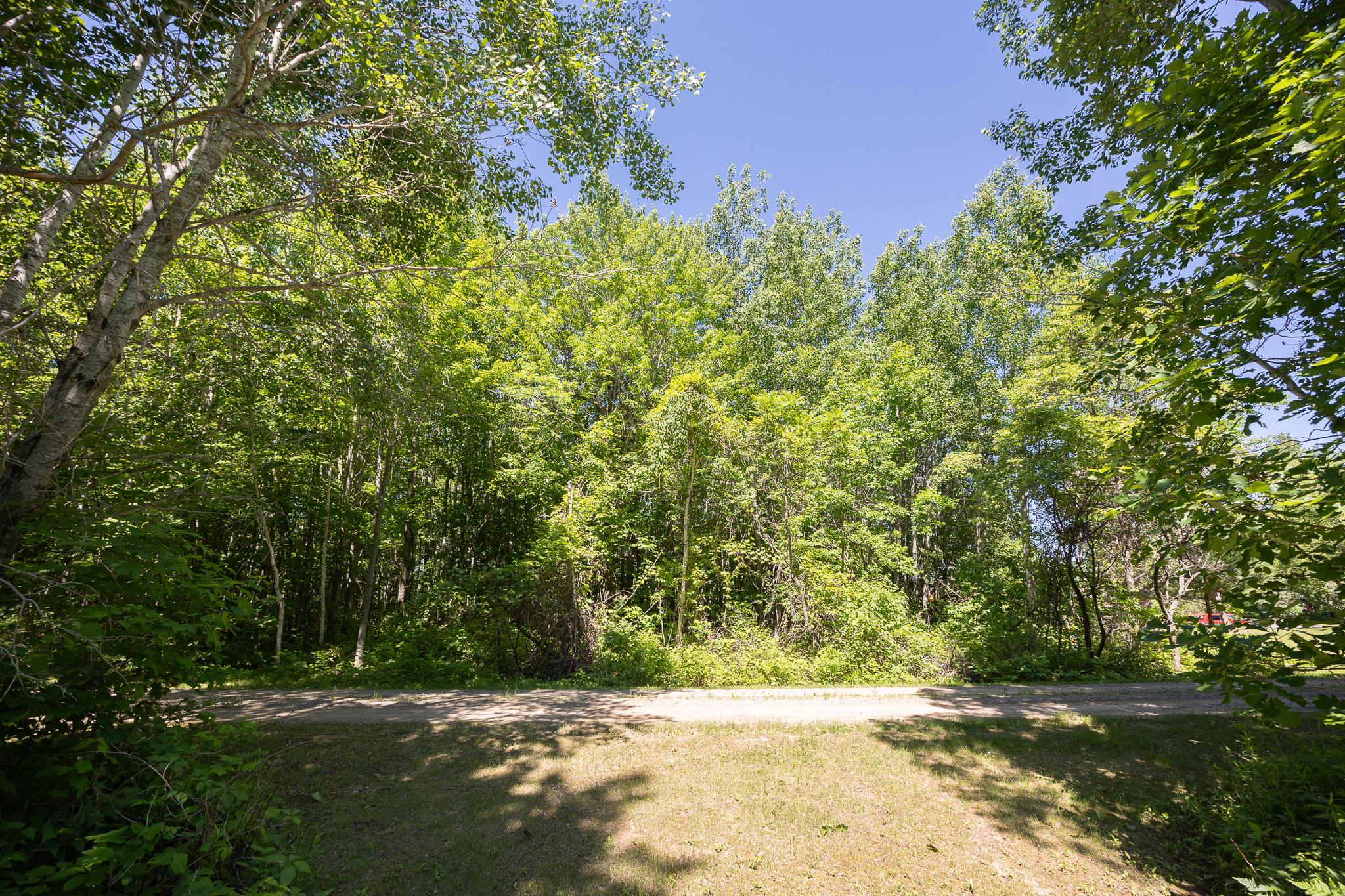 TBD. Kestrel Trail NW, Hackensack MN 56452 - Photo 4 of 14