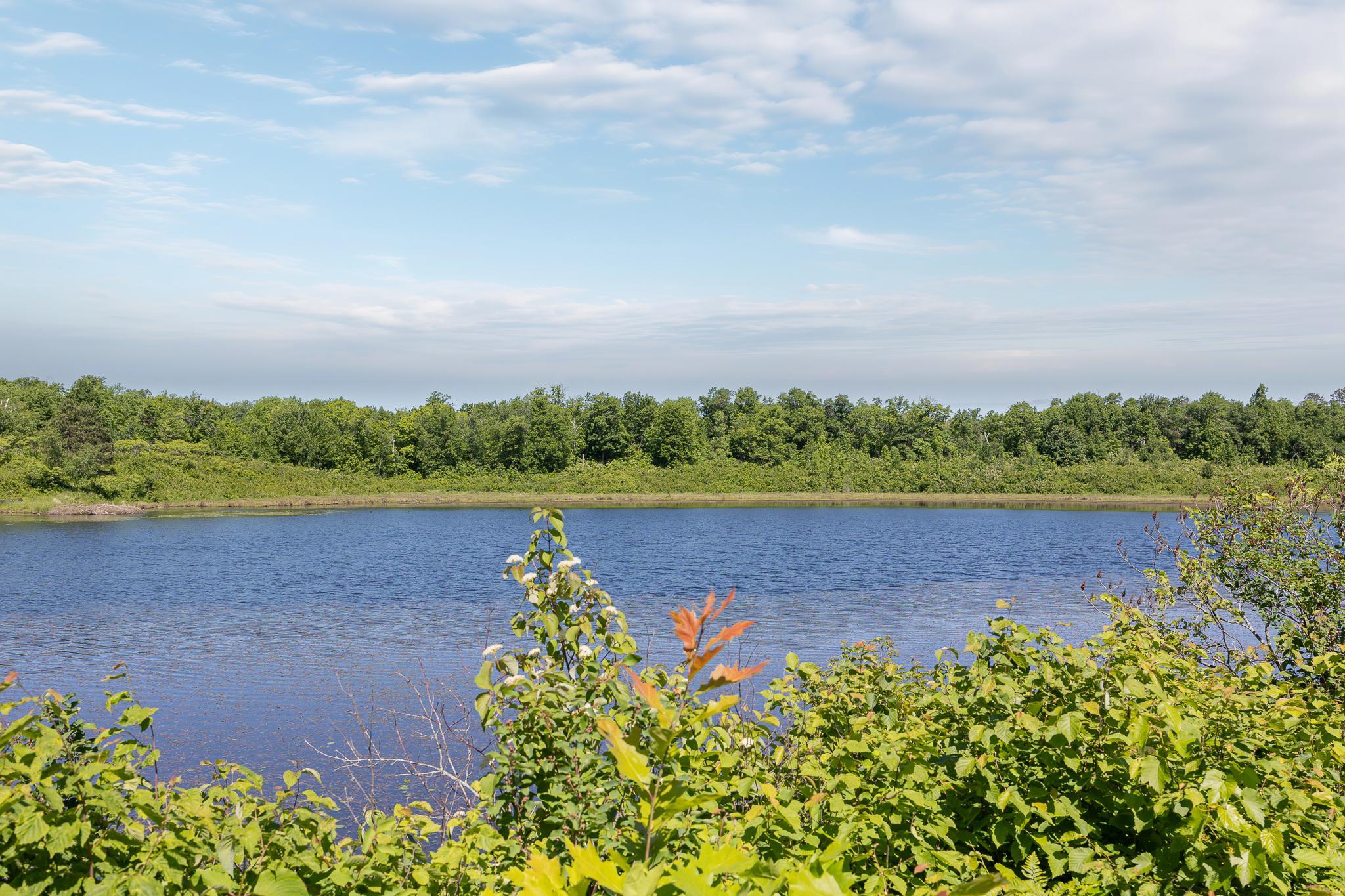TBD. Kestrel Trail NW, Hackensack MN 56452 - Photo 5 of 14