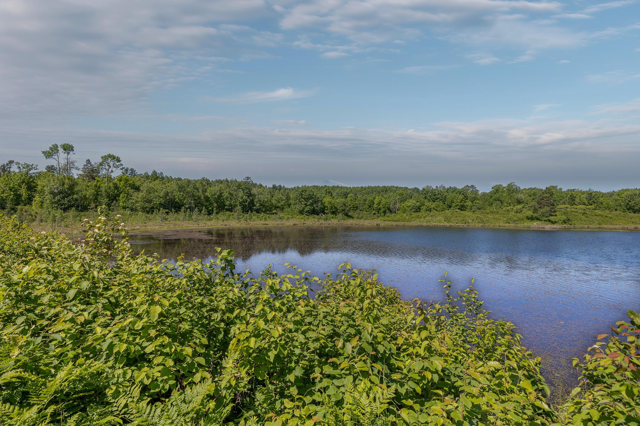 TBD. Kestrel Trail NW, Hackensack MN 56452 - Photo 6 of 14