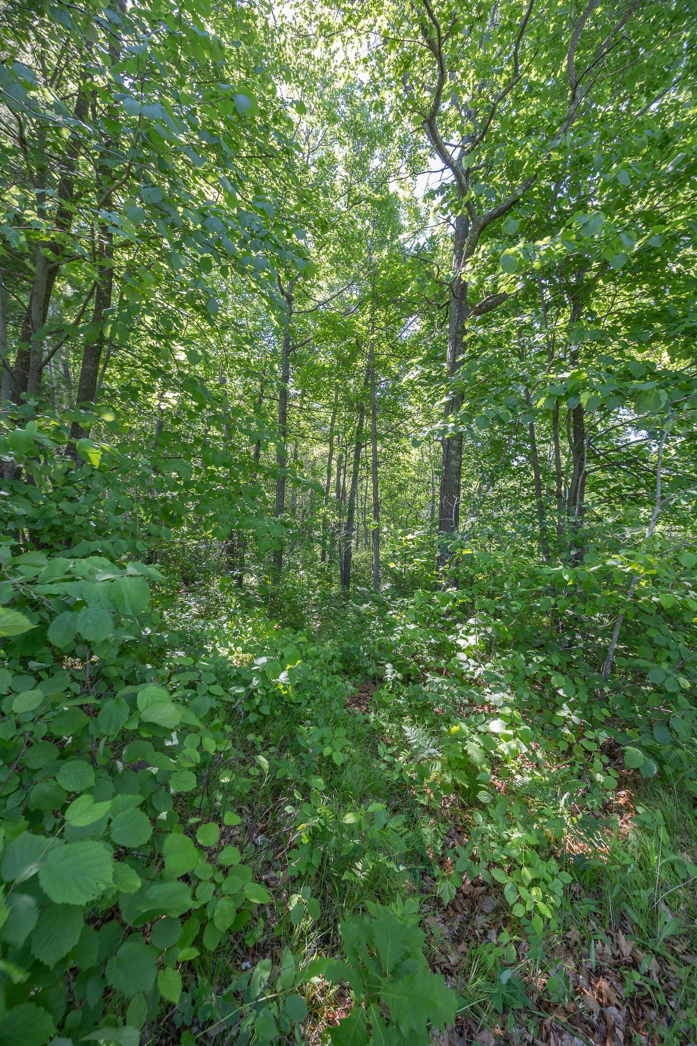 TBD. Kestrel Trail NW, Hackensack MN 56452 - Photo 7 of 14