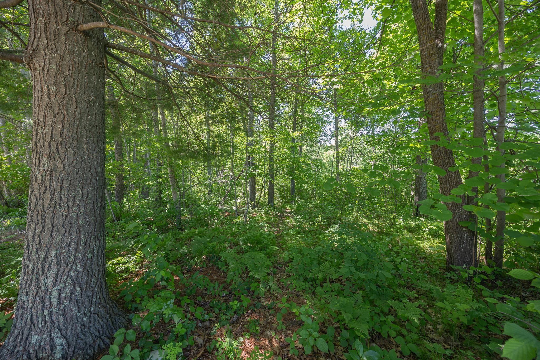 TBD. Kestrel Trail NW, Hackensack MN 56452 - Photo 8 of 14