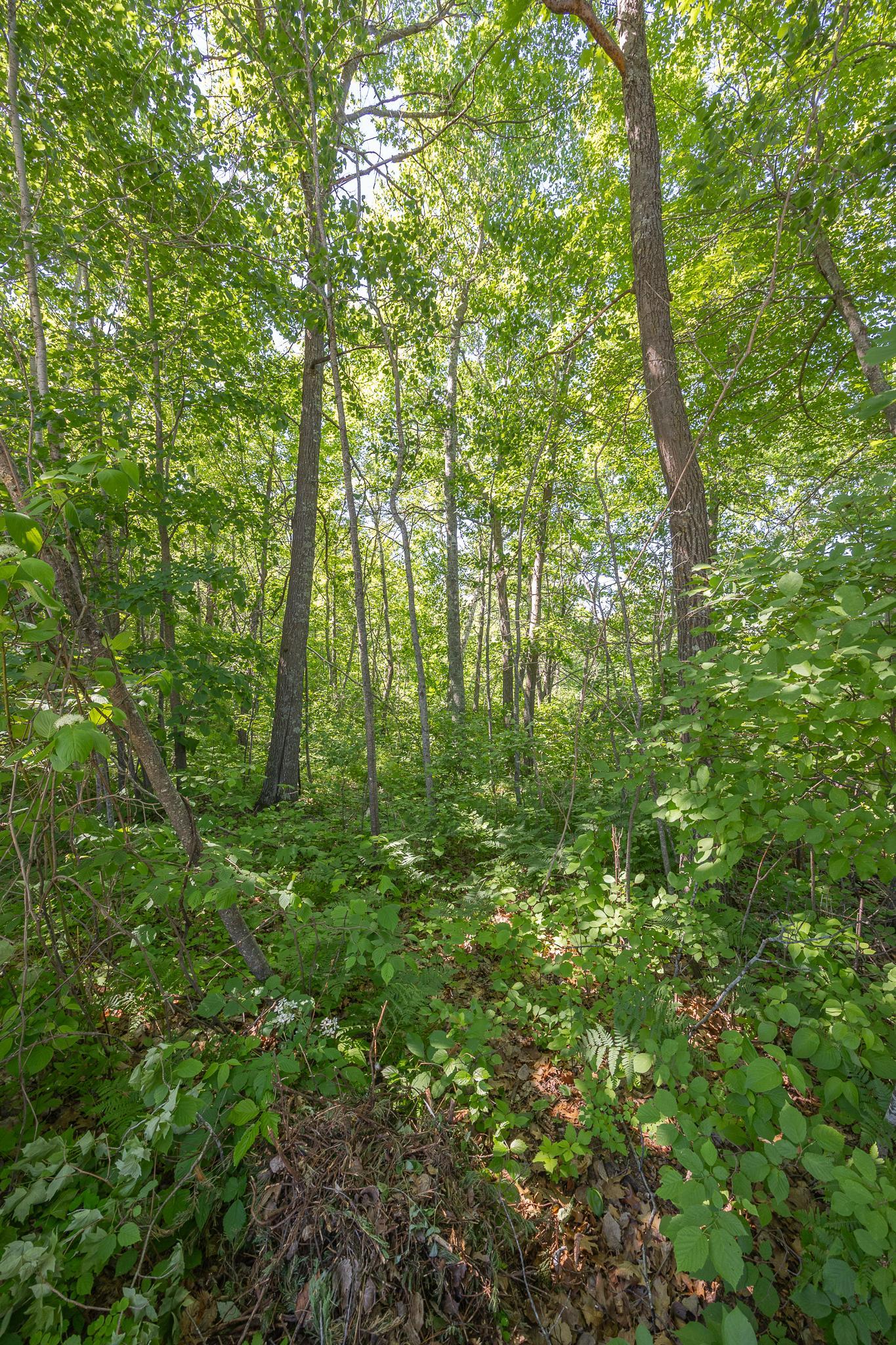 TBD. Kestrel Trail NW, Hackensack MN 56452 - Photo 10 of 14