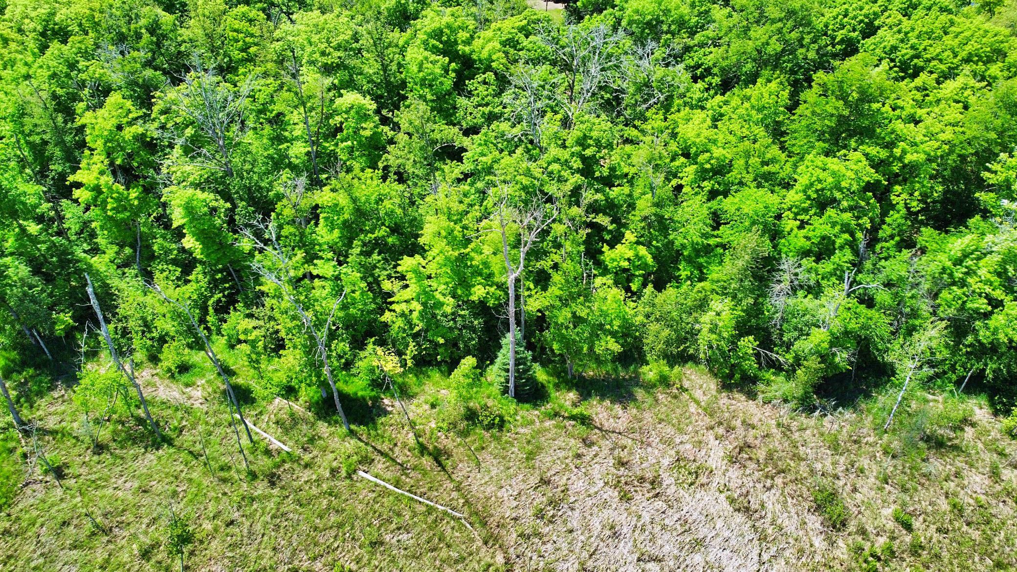 35000 322nd Lane, Aitkin MN 56431 - Photo 12 of 17