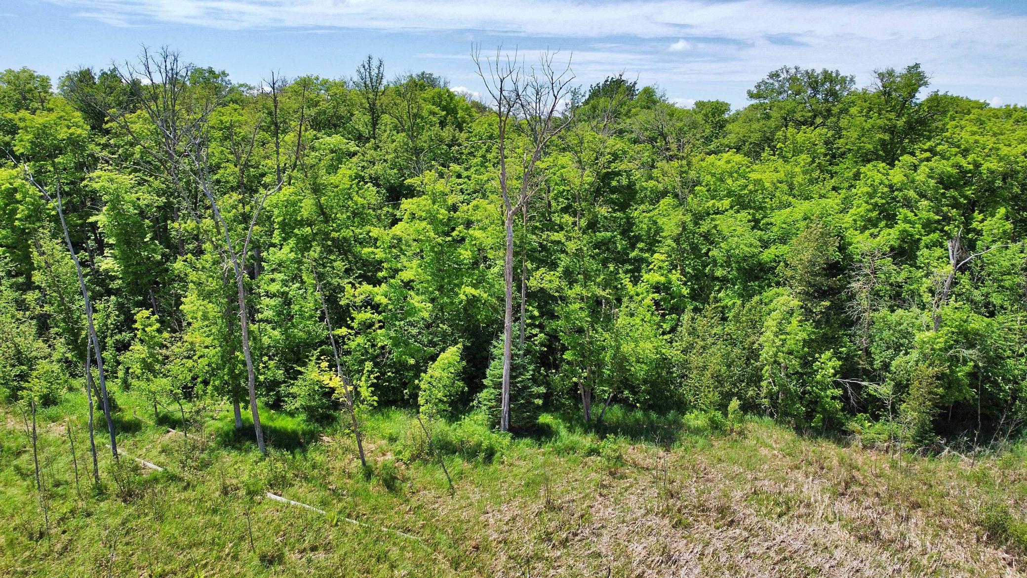 35000 322nd Lane, Aitkin MN 56431 - Photo 13 of 17