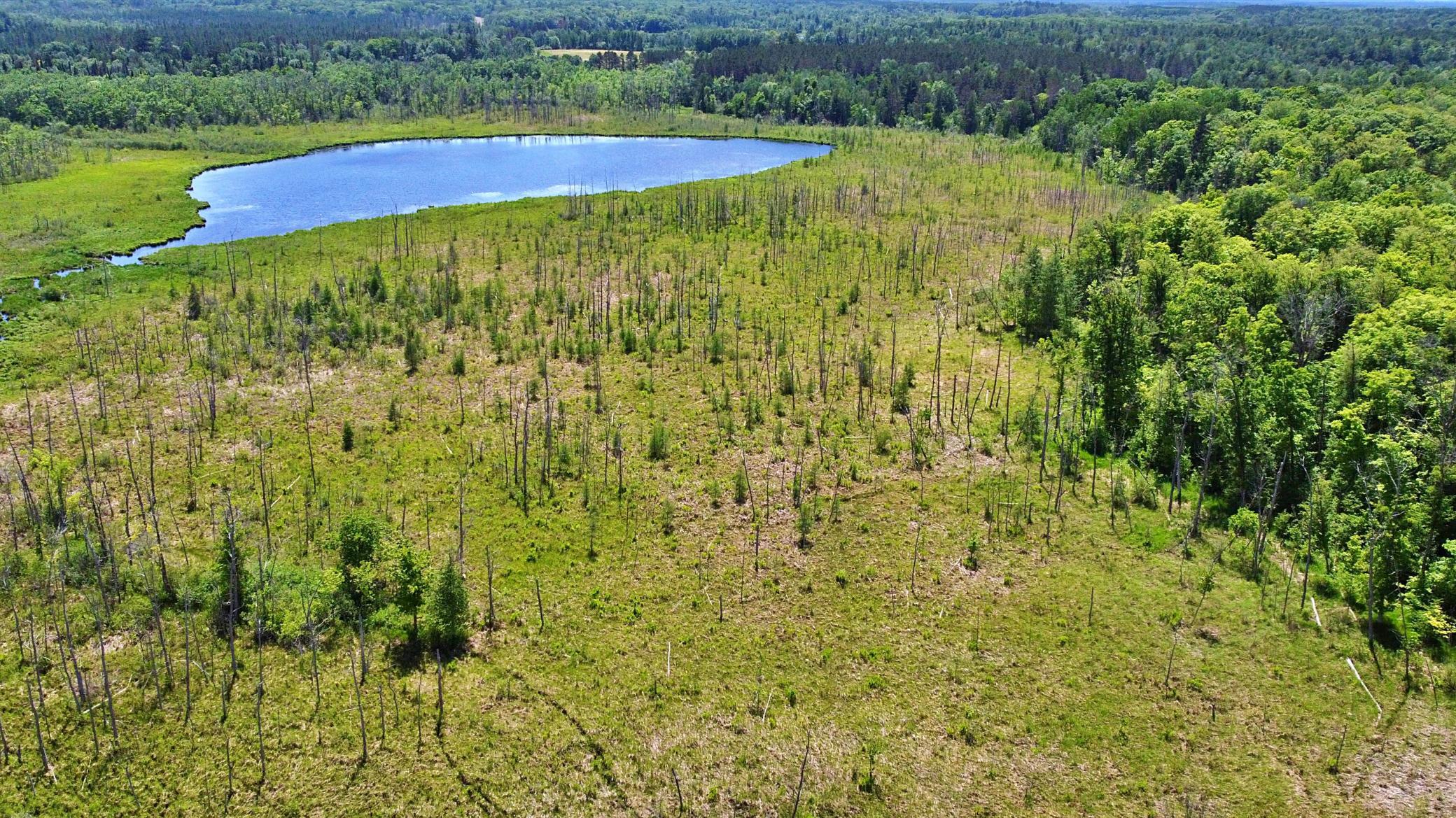 35000 322nd Lane, Aitkin MN 56431 - Photo 9 of 17