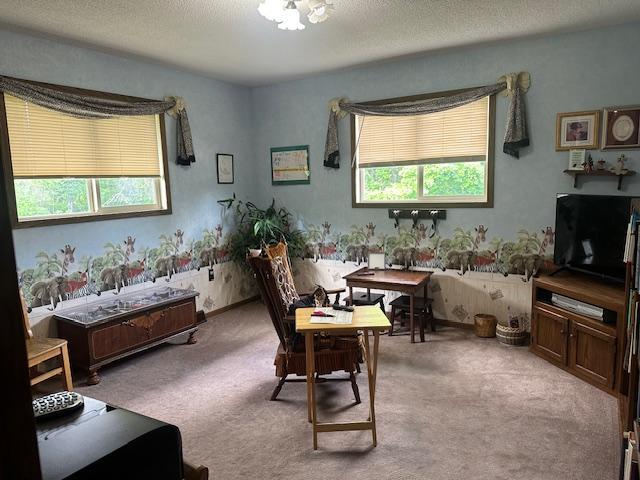 1976 single family home for sale at 1929 Lakeview Drive SW in Bemidji, MN — 4 bed, 2 bath (photo 9 of 26)